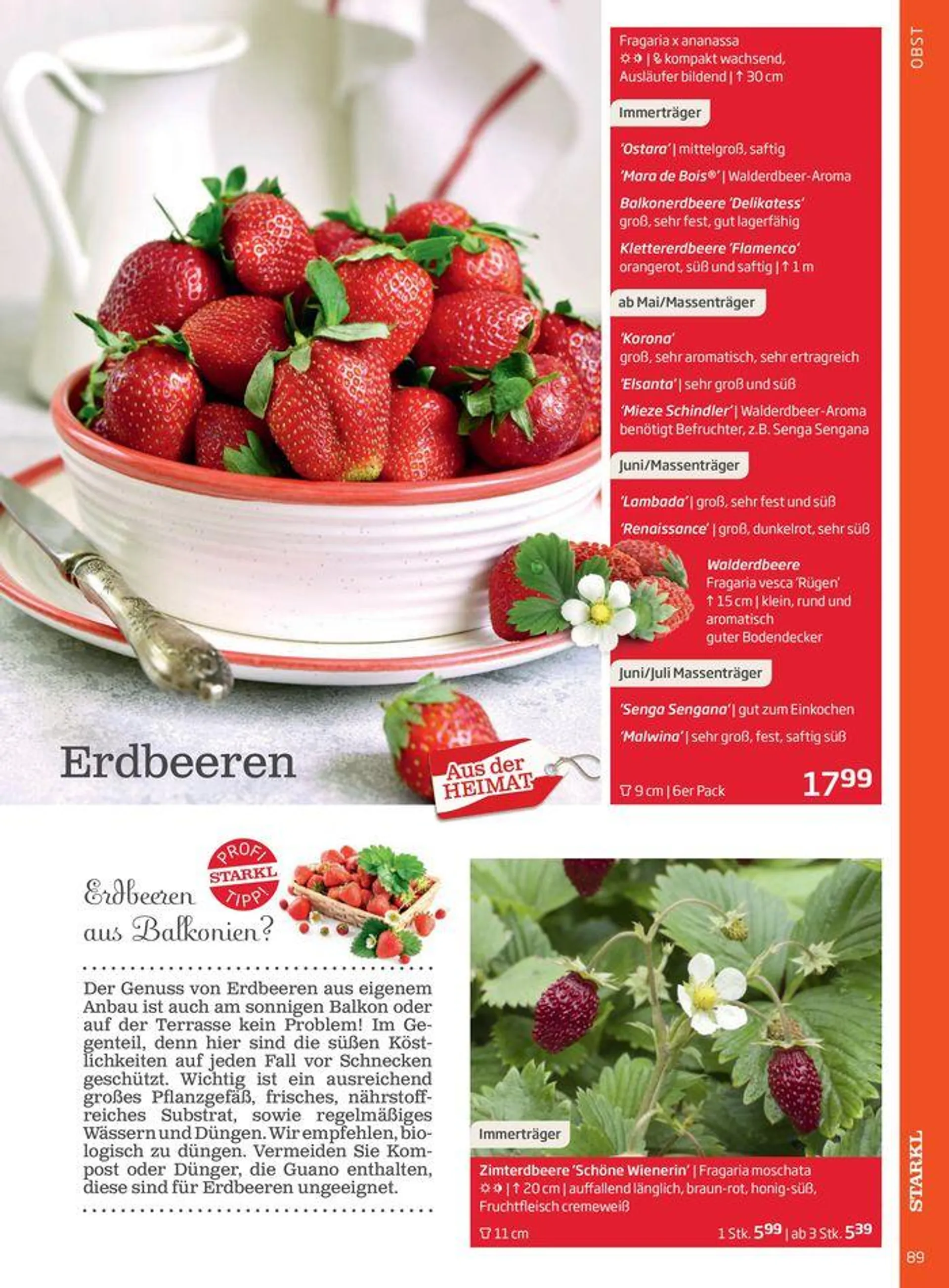 Gartencenter Jahreskatalog 2024 - 89