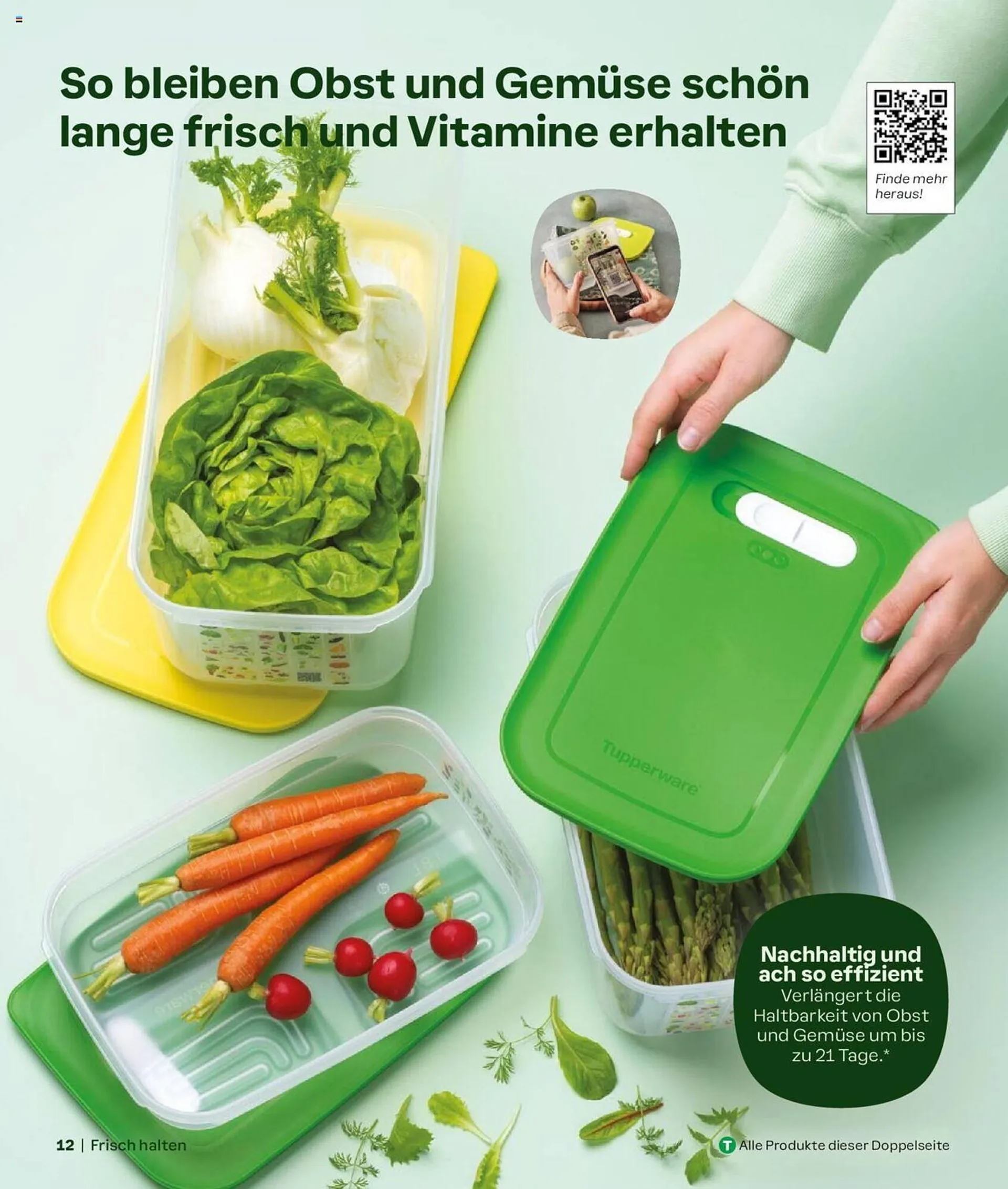 Tupperware Flugblatt von 1. September bis 28. Februar 2025 - Flugblätt seite  12