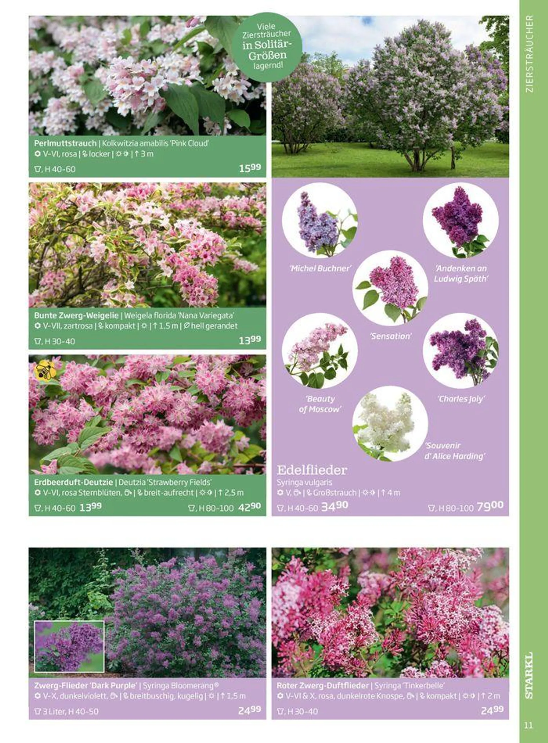 Gartencenter Jahreskatalog 2024 - 11