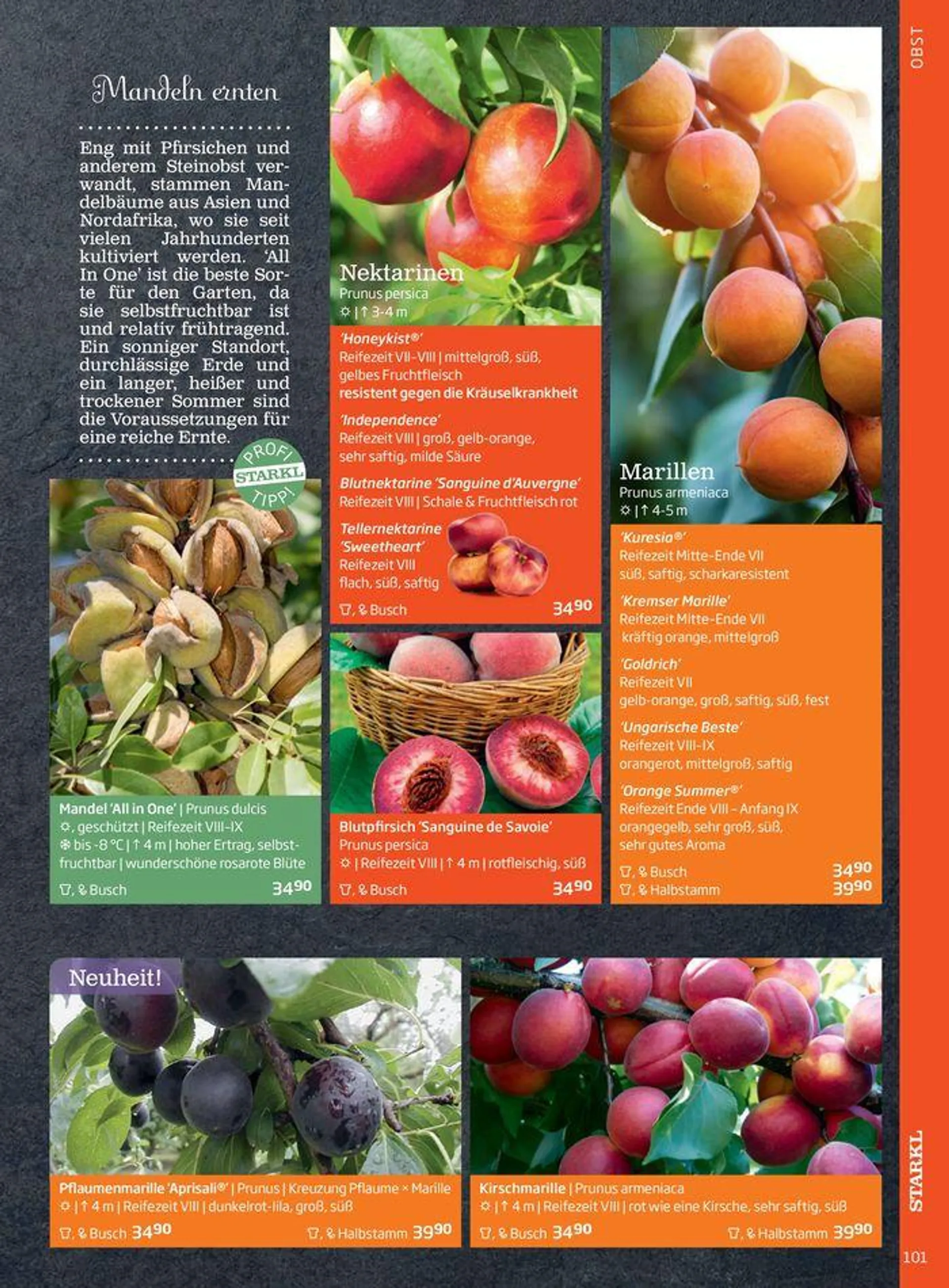 Gartencenter Jahreskatalog 2024 - 101