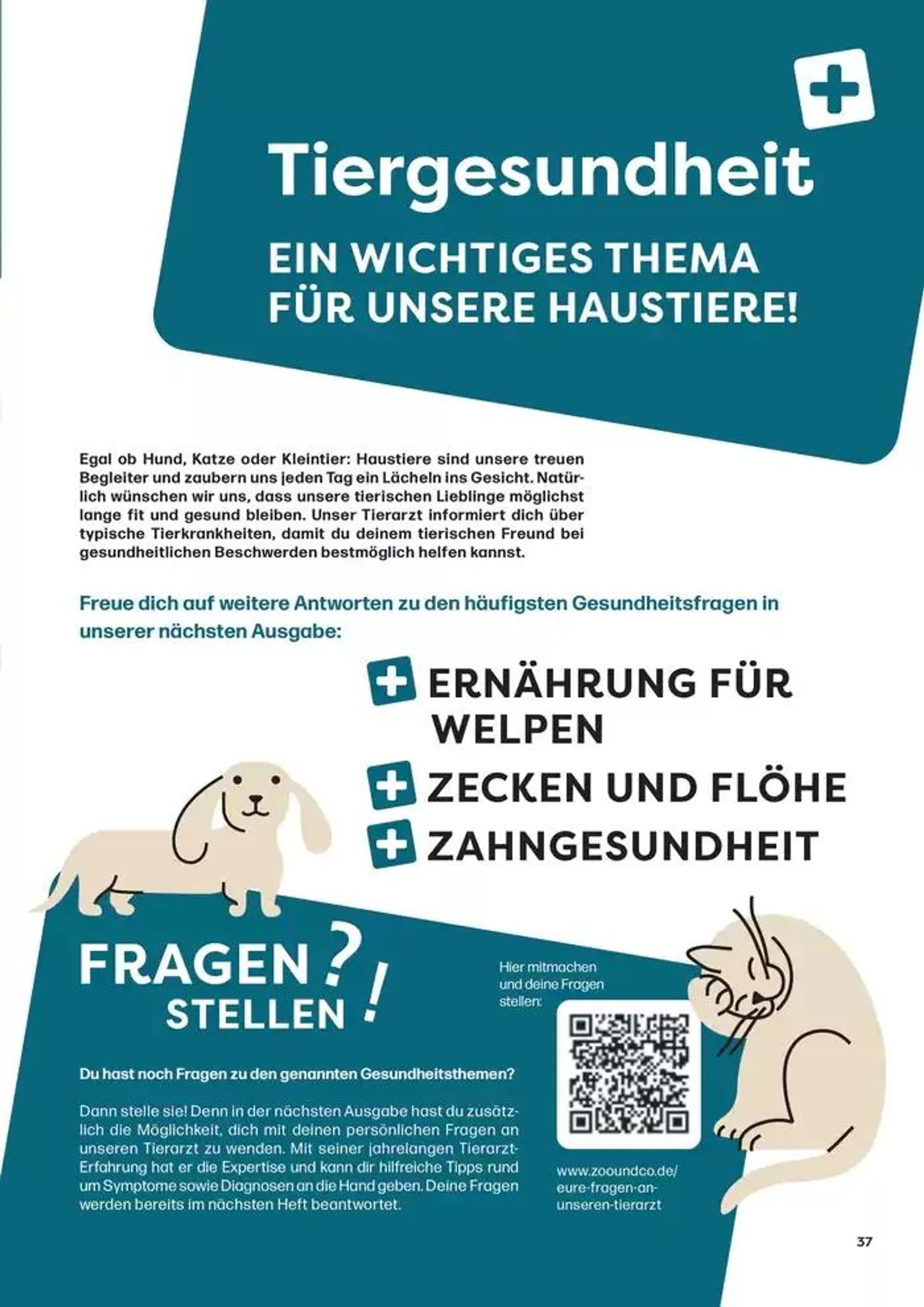 Angebote ZOO & Co von 29. November bis 13. Dezember 2024 - Flugblätt seite  37