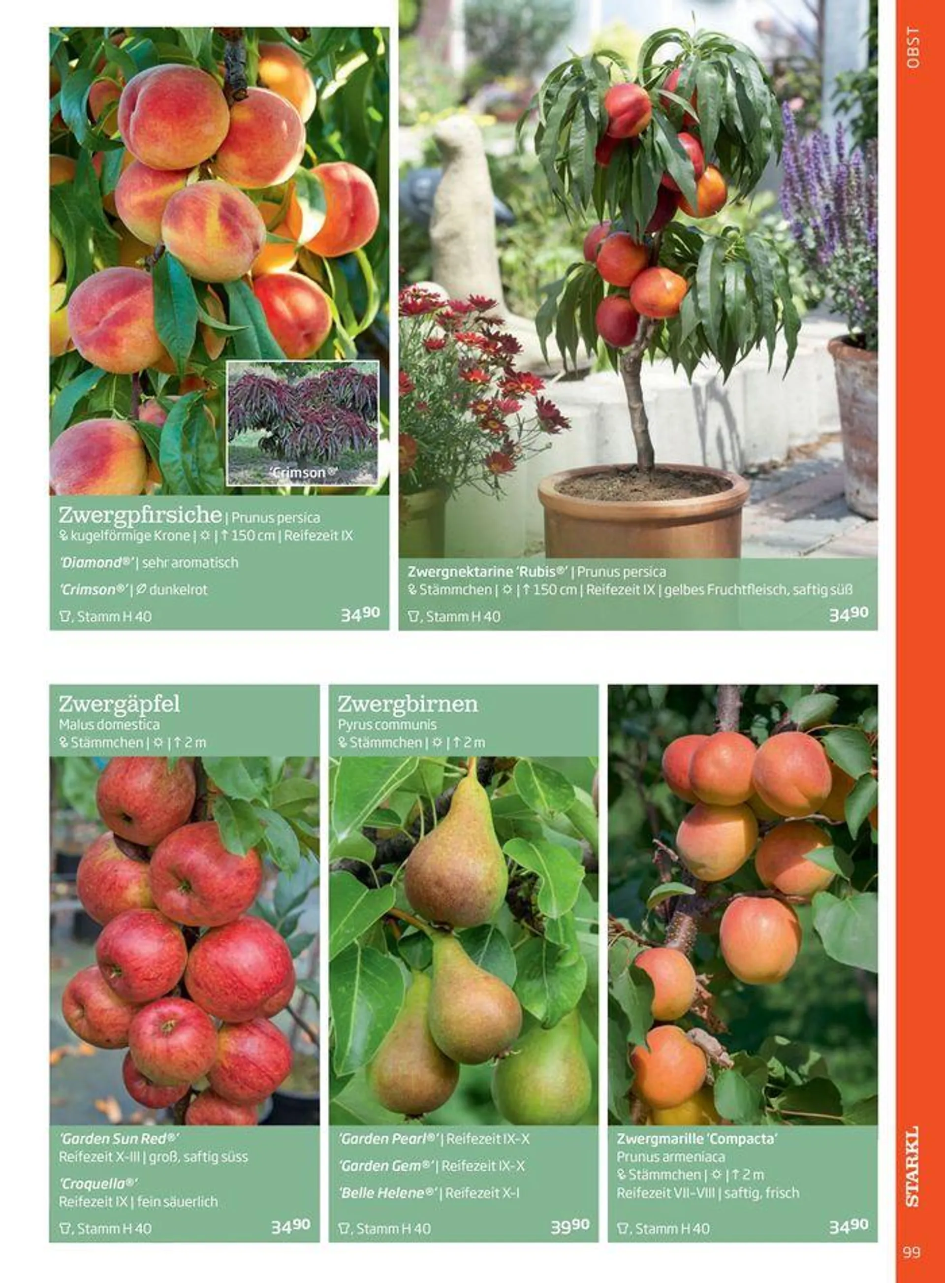 Gartencenter Jahreskatalog 2024 - 99