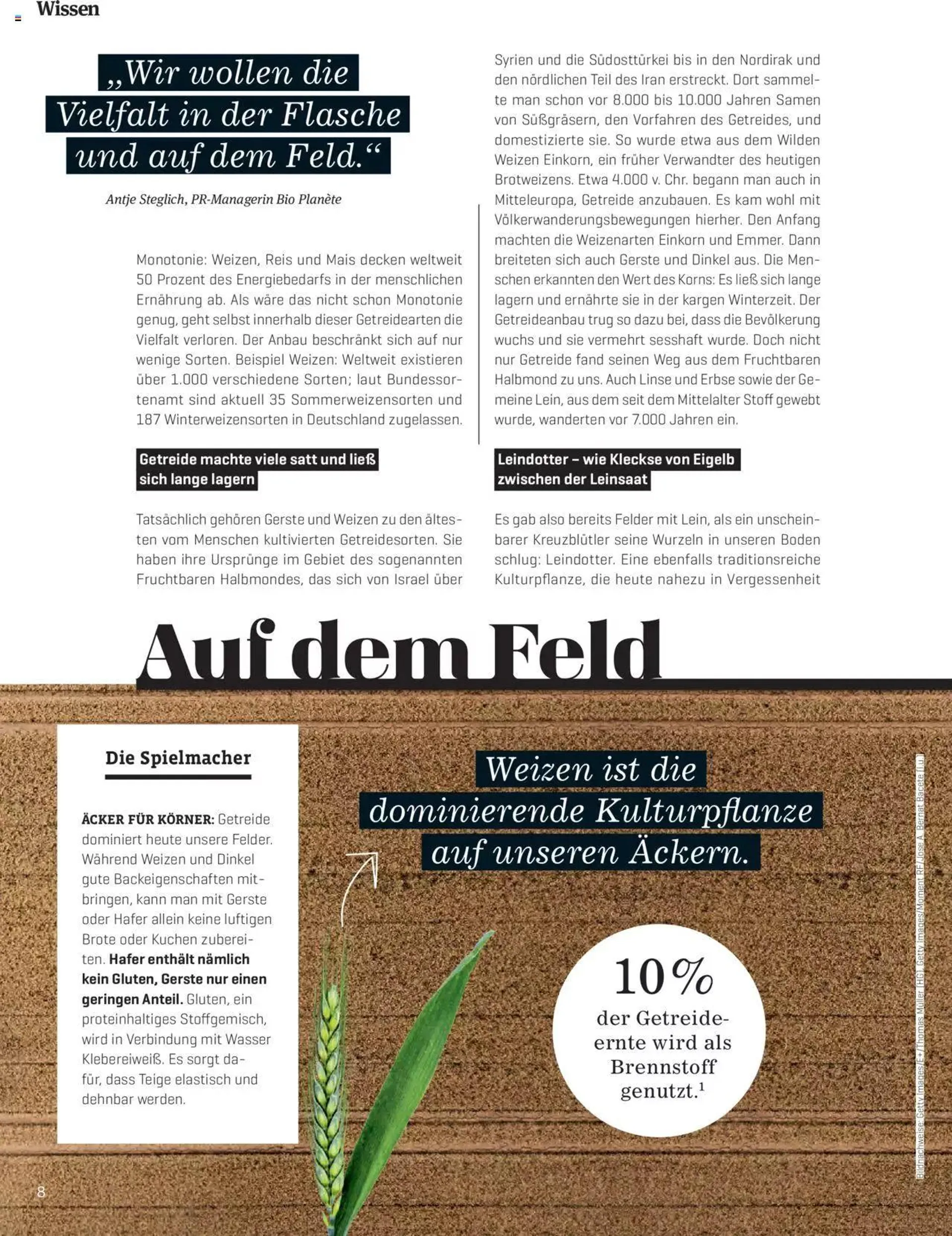 Denns BioMarkt KREO Magazin von 15. April bis 31. Dezember 2024 - Flugblätt seite  8