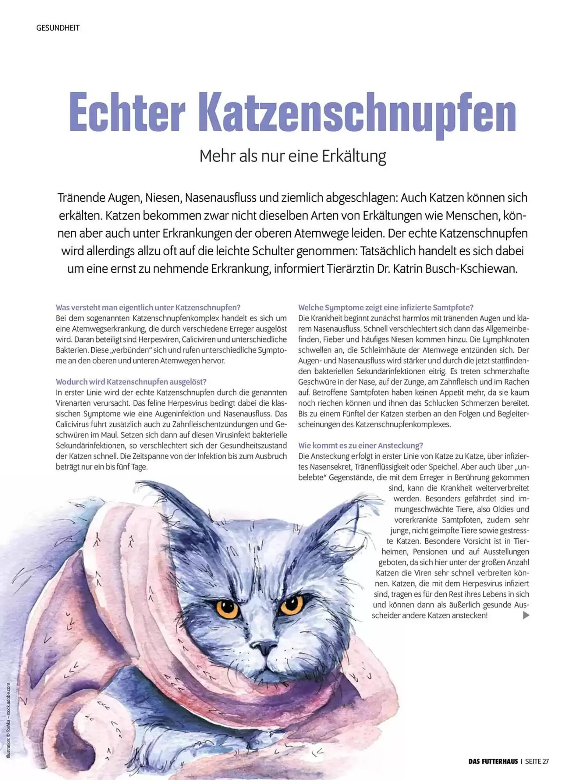 Das Futterhaus Flugblatt von 1. Oktober bis 3. November 2024 - Flugblätt seite  27