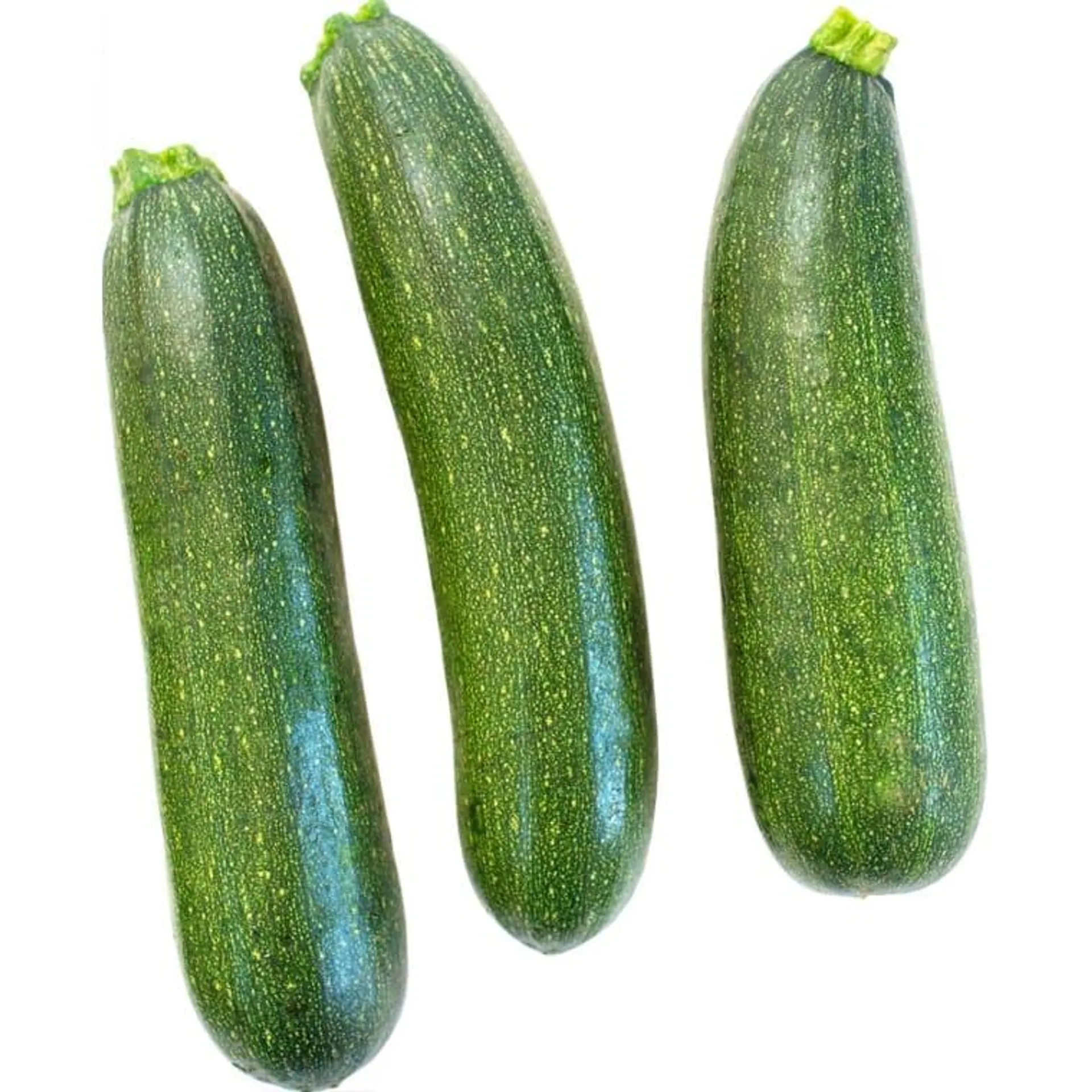 Zucchini Netz