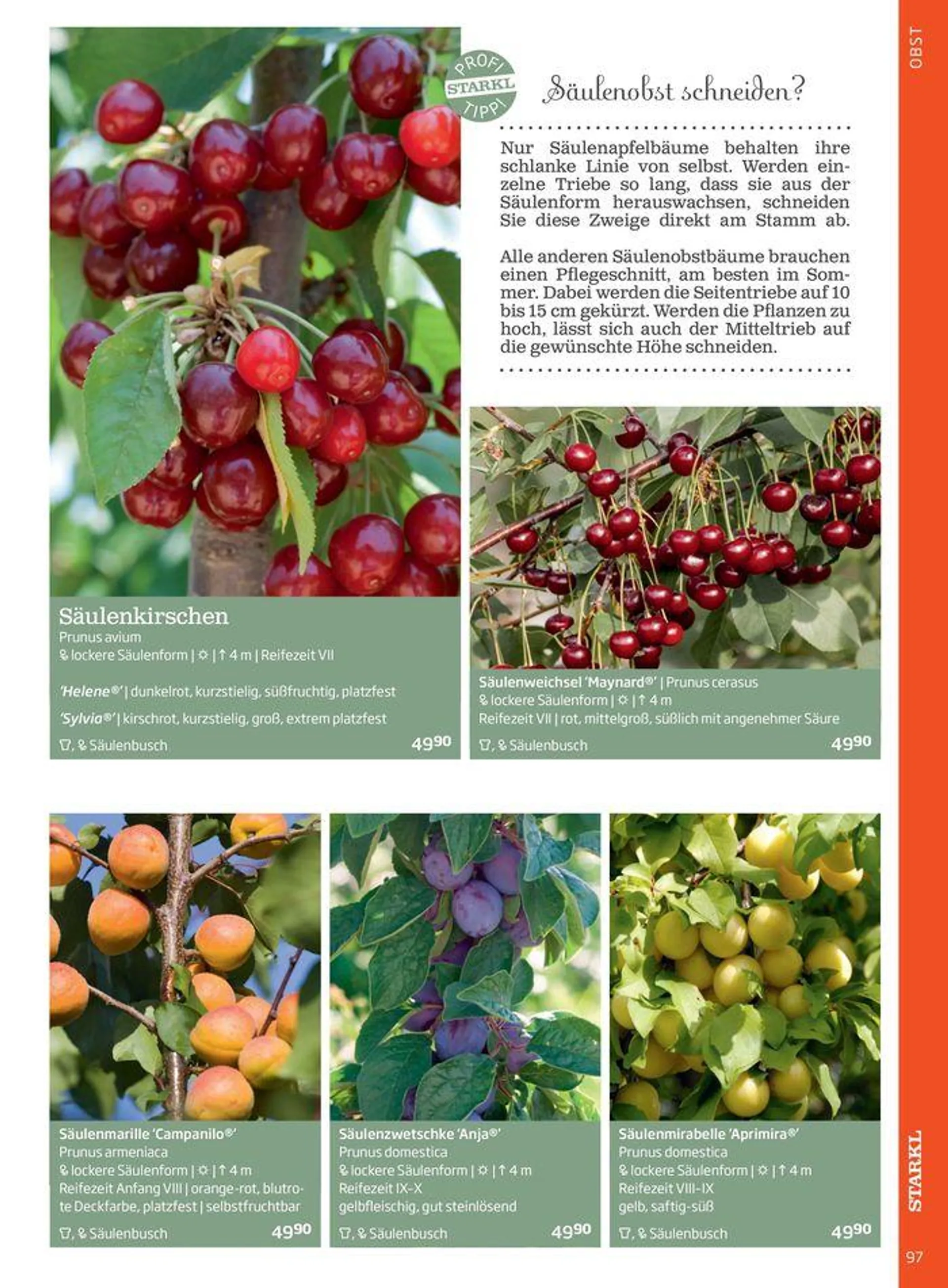 Gartencenter Jahreskatalog 2024 - 97