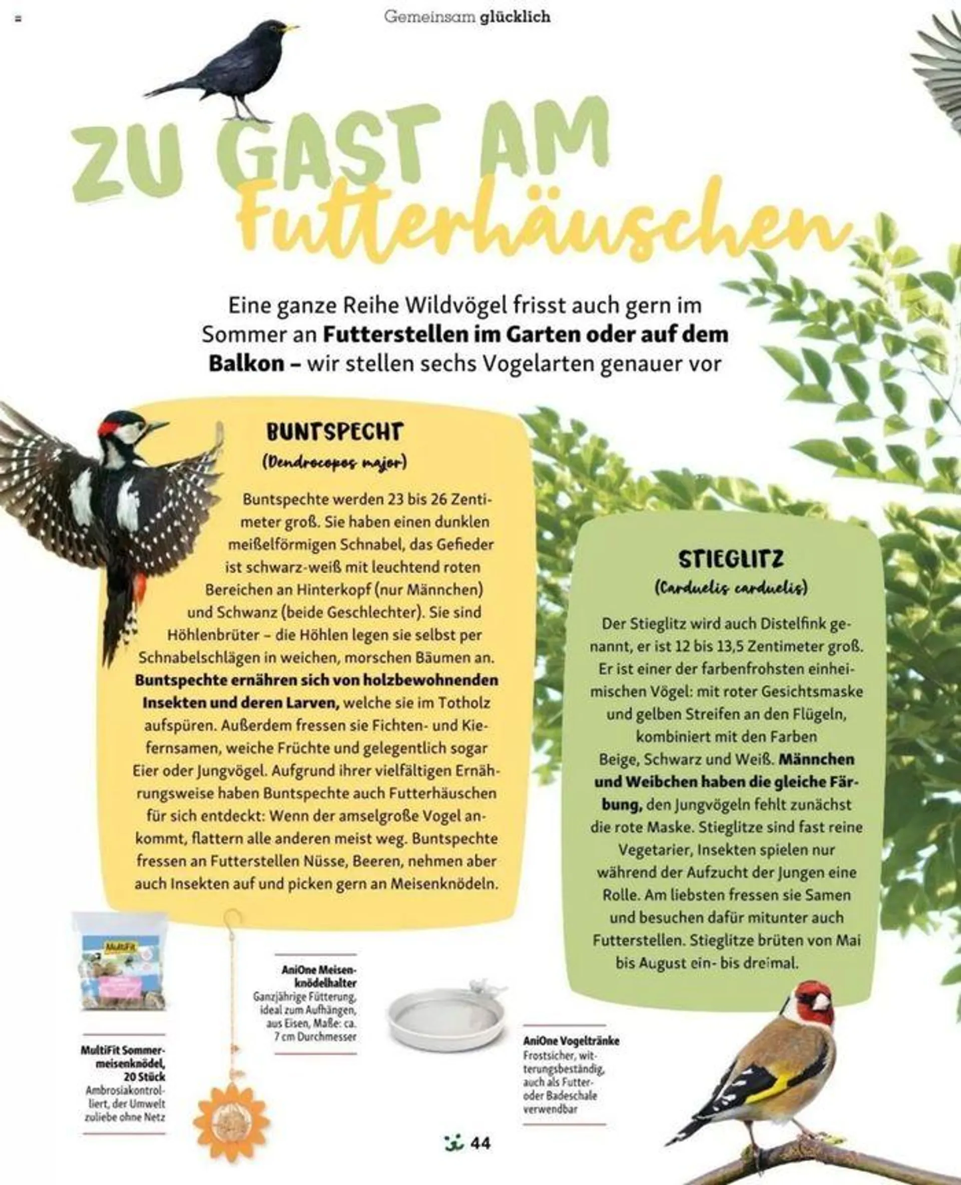 Fressnapf Magazin von 1. Juli bis 31. Juli 2024 - Flugblätt seite  44