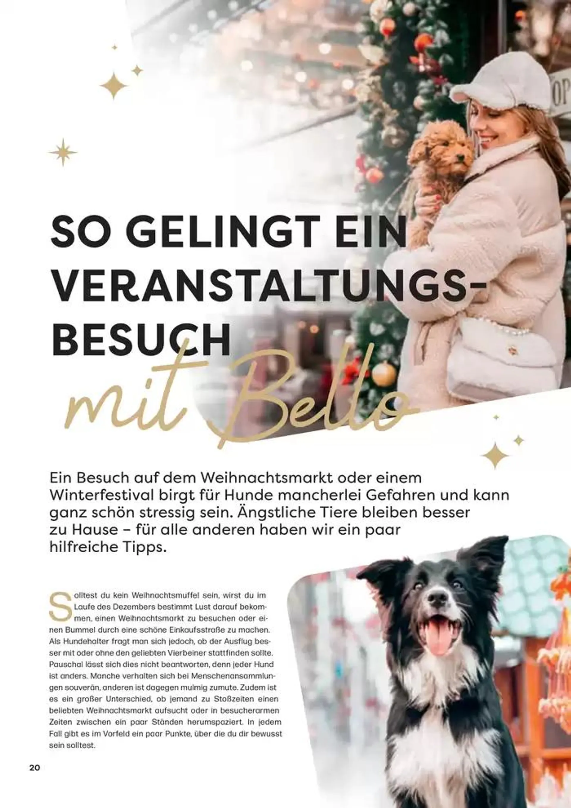 Angebote ZOO & Co von 29. November bis 13. Dezember 2024 - Flugblätt seite  20