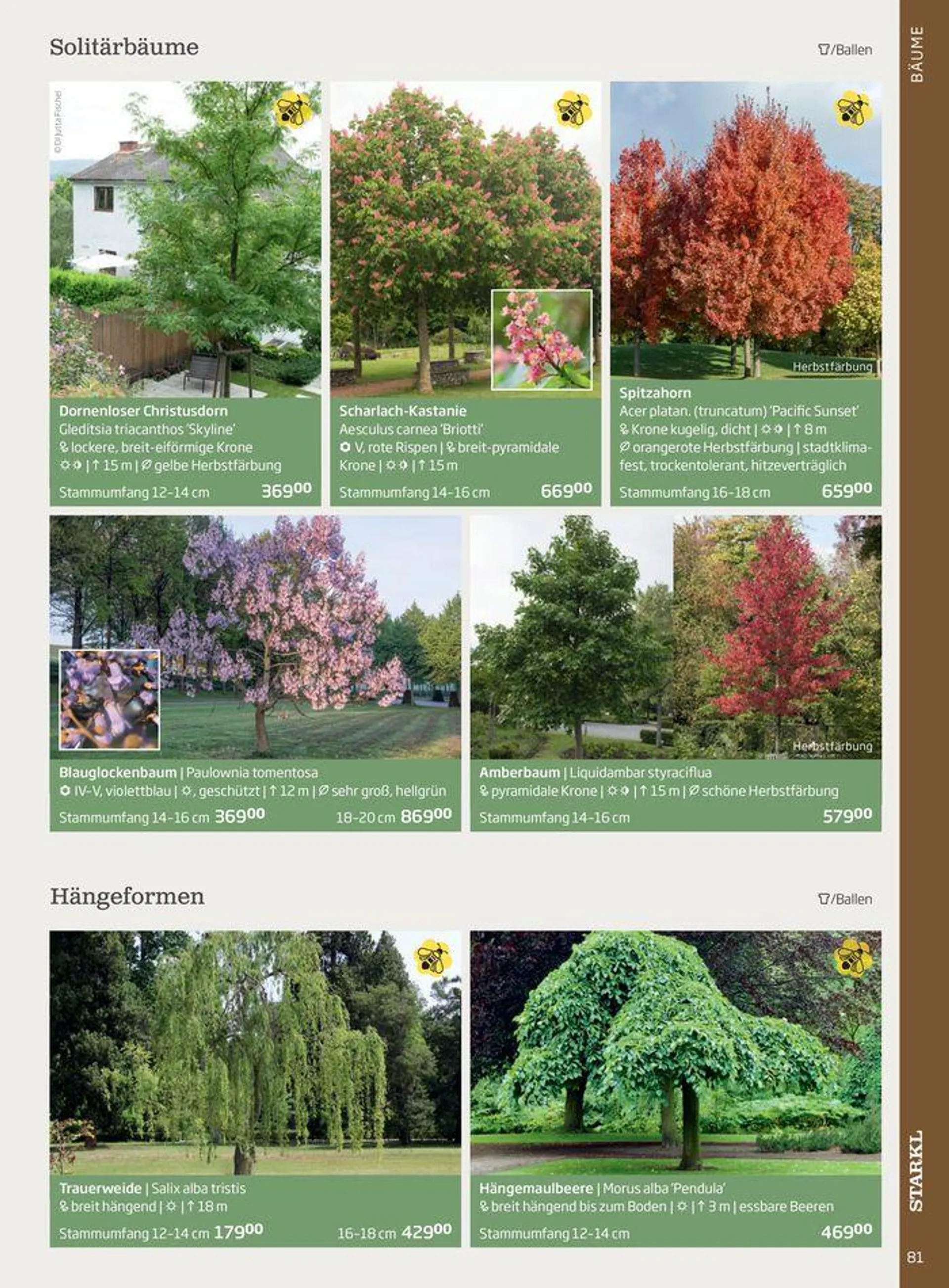 Gartencenter Jahreskatalog 2024 - 81