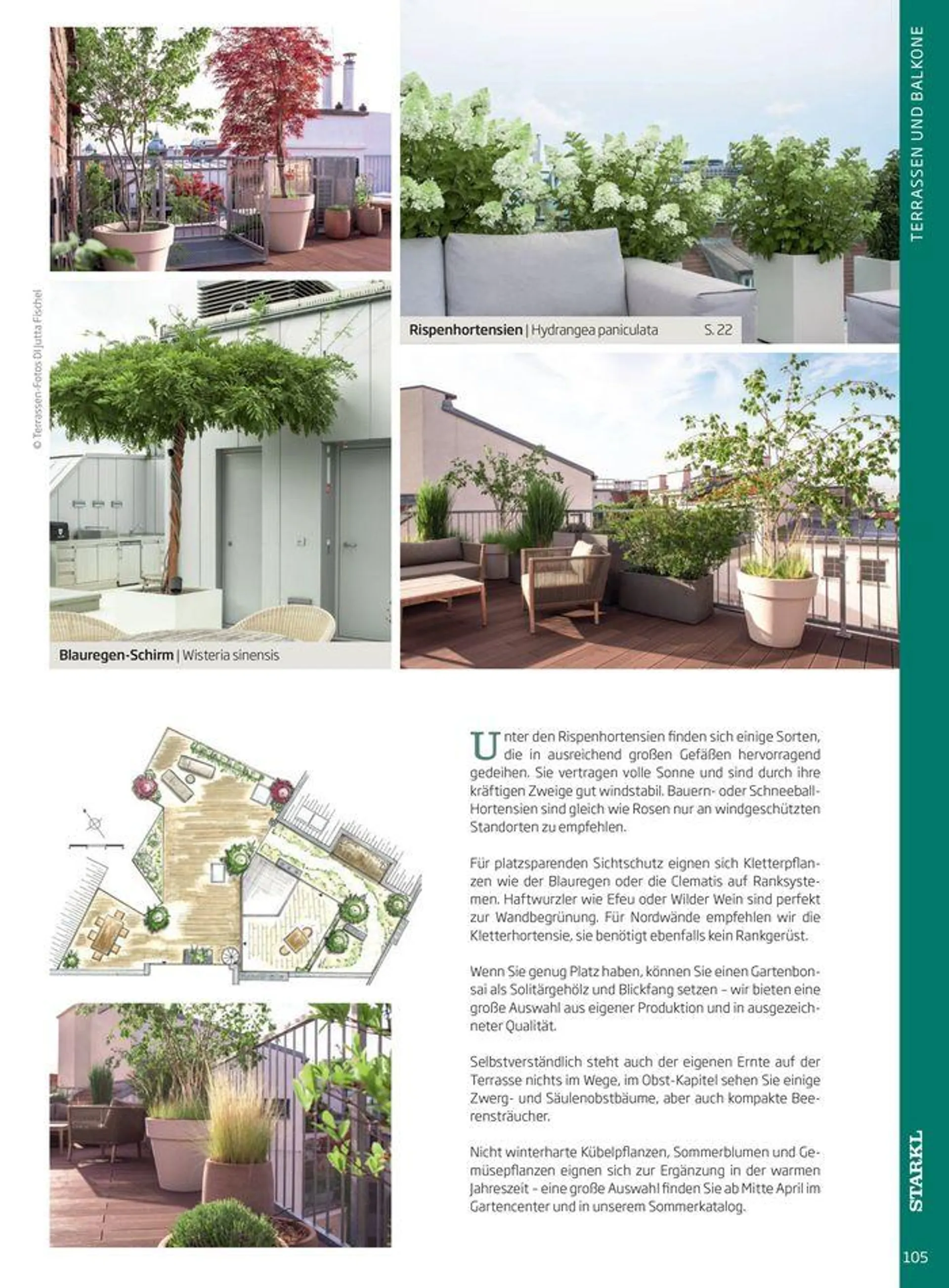 Gartencenter Jahreskatalog 2024 - 105