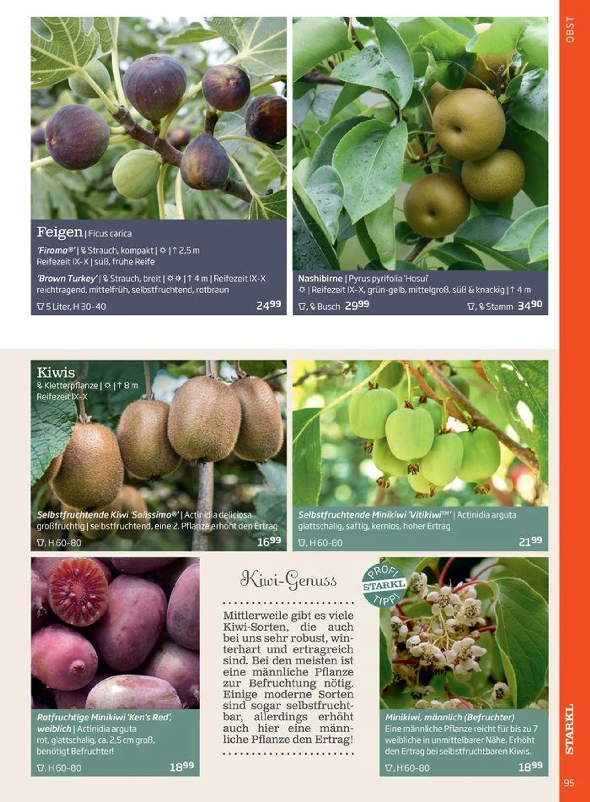 Gartencenter Jahreskatalog 2024 - 95