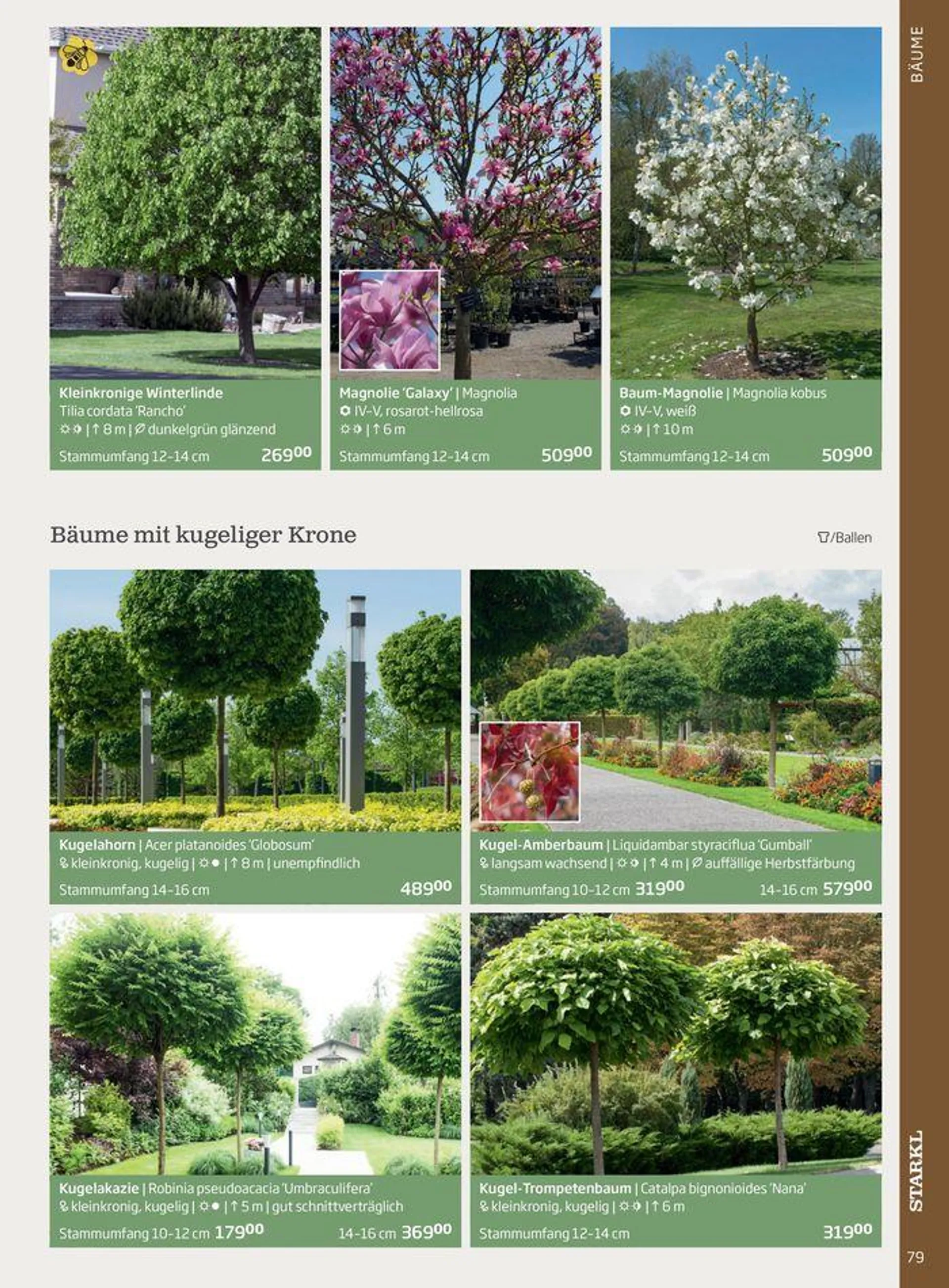 Gartencenter Jahreskatalog 2024 - 79