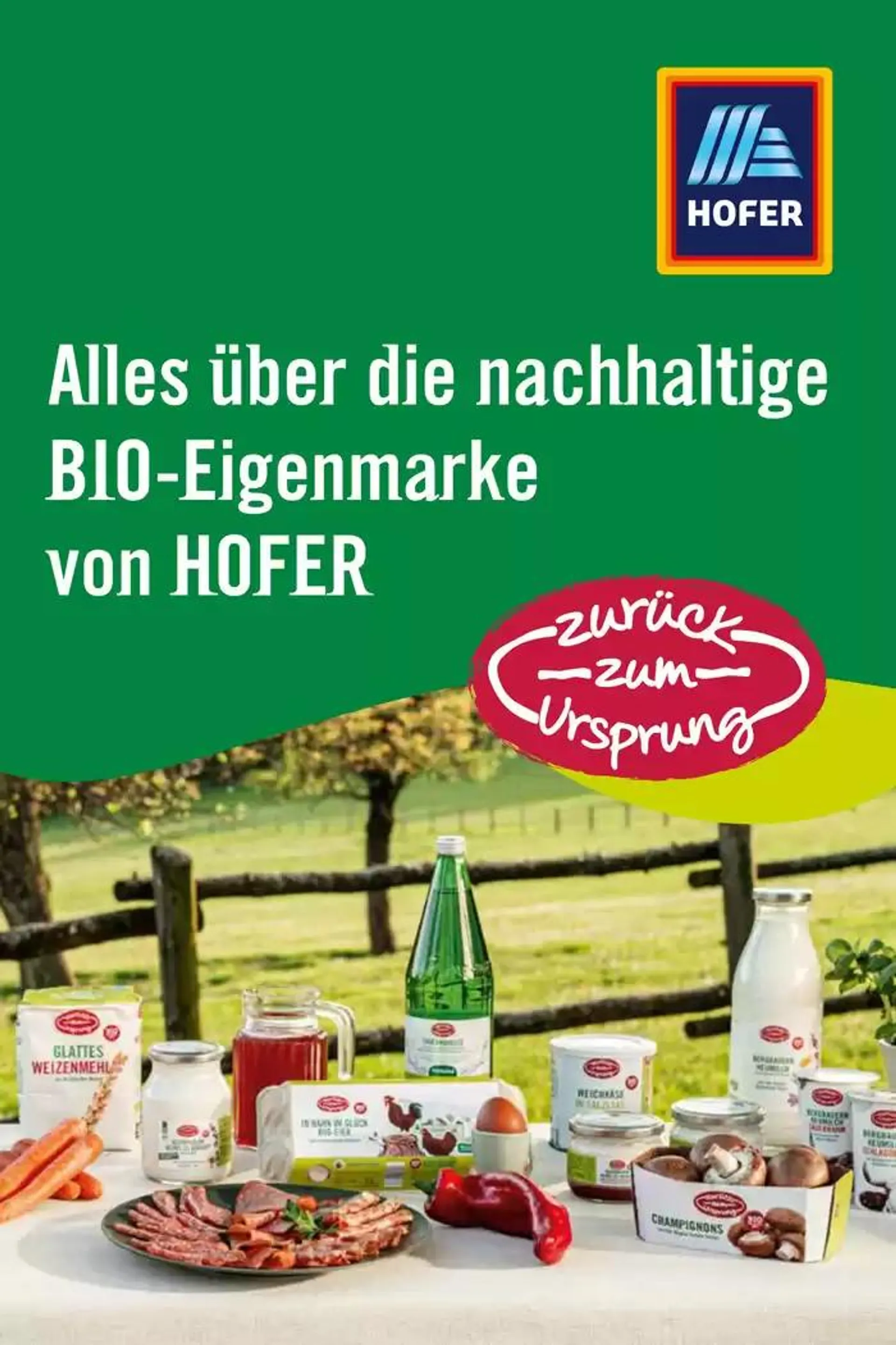 Zurück zum Ursprung-Fibel von 10. Oktober bis 24. Oktober 2024 - Flugblätt seite  1