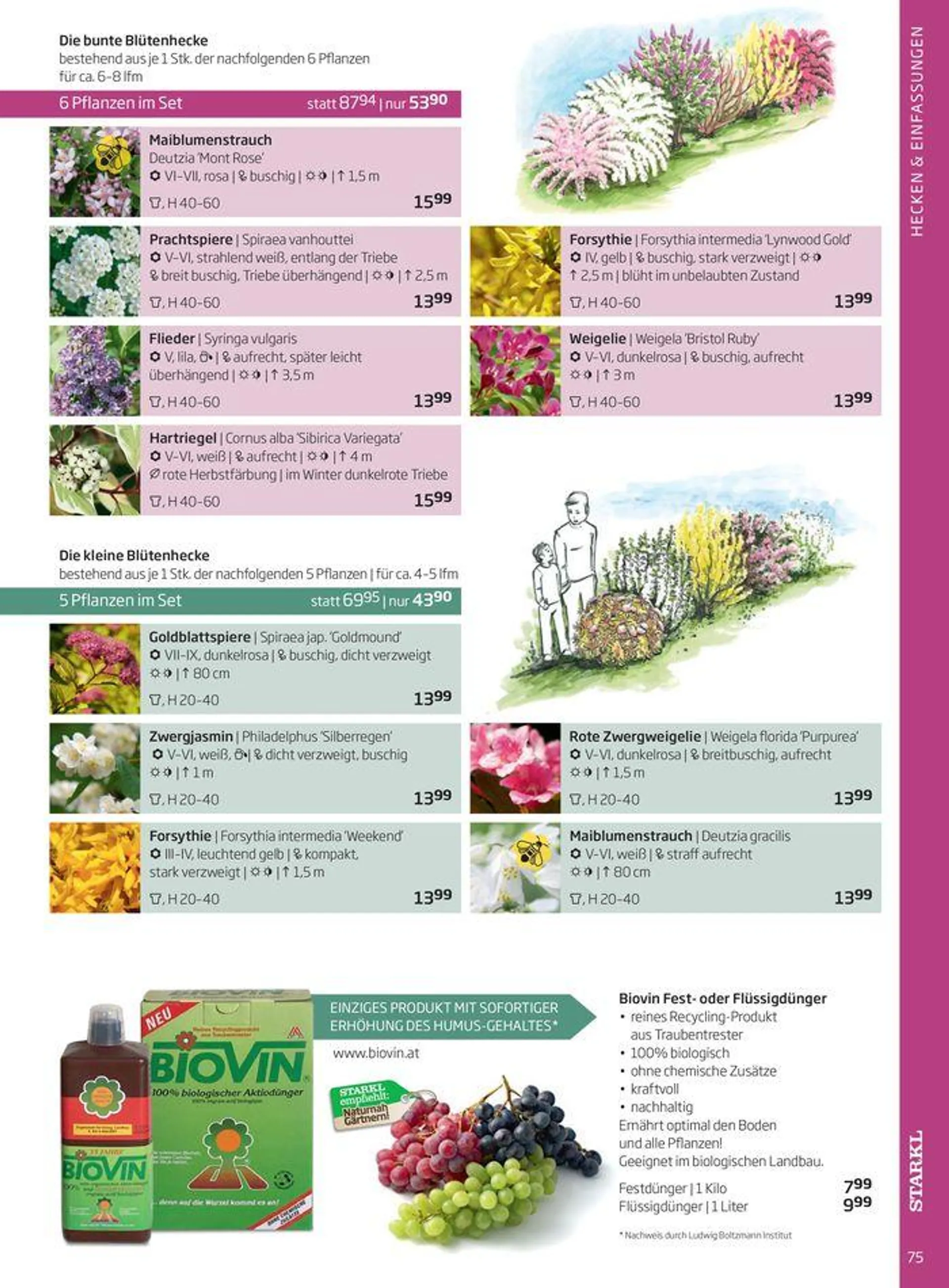 Gartencenter Jahreskatalog 2024 - 75