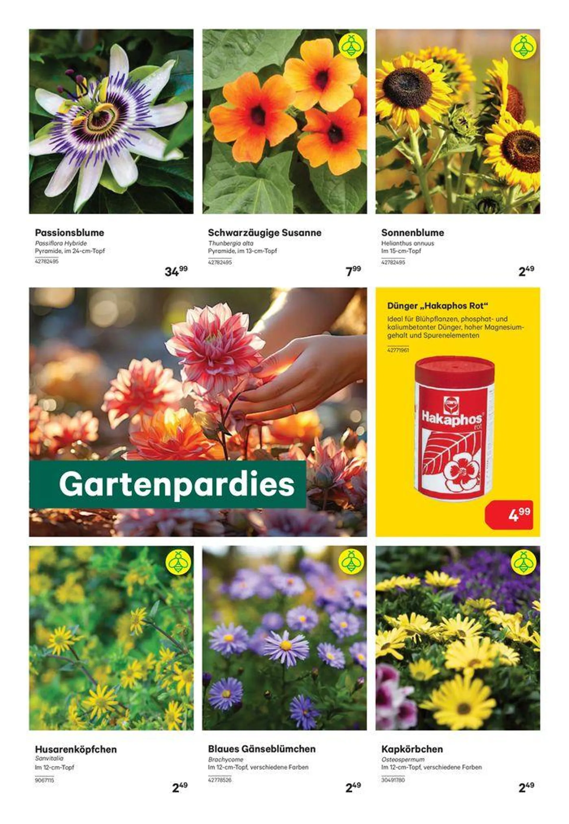 Bau & Gartenmarkt Bis 15. Juni 2024 von 4. Juni bis 15. Juni 2024 - Flugblätt seite  4