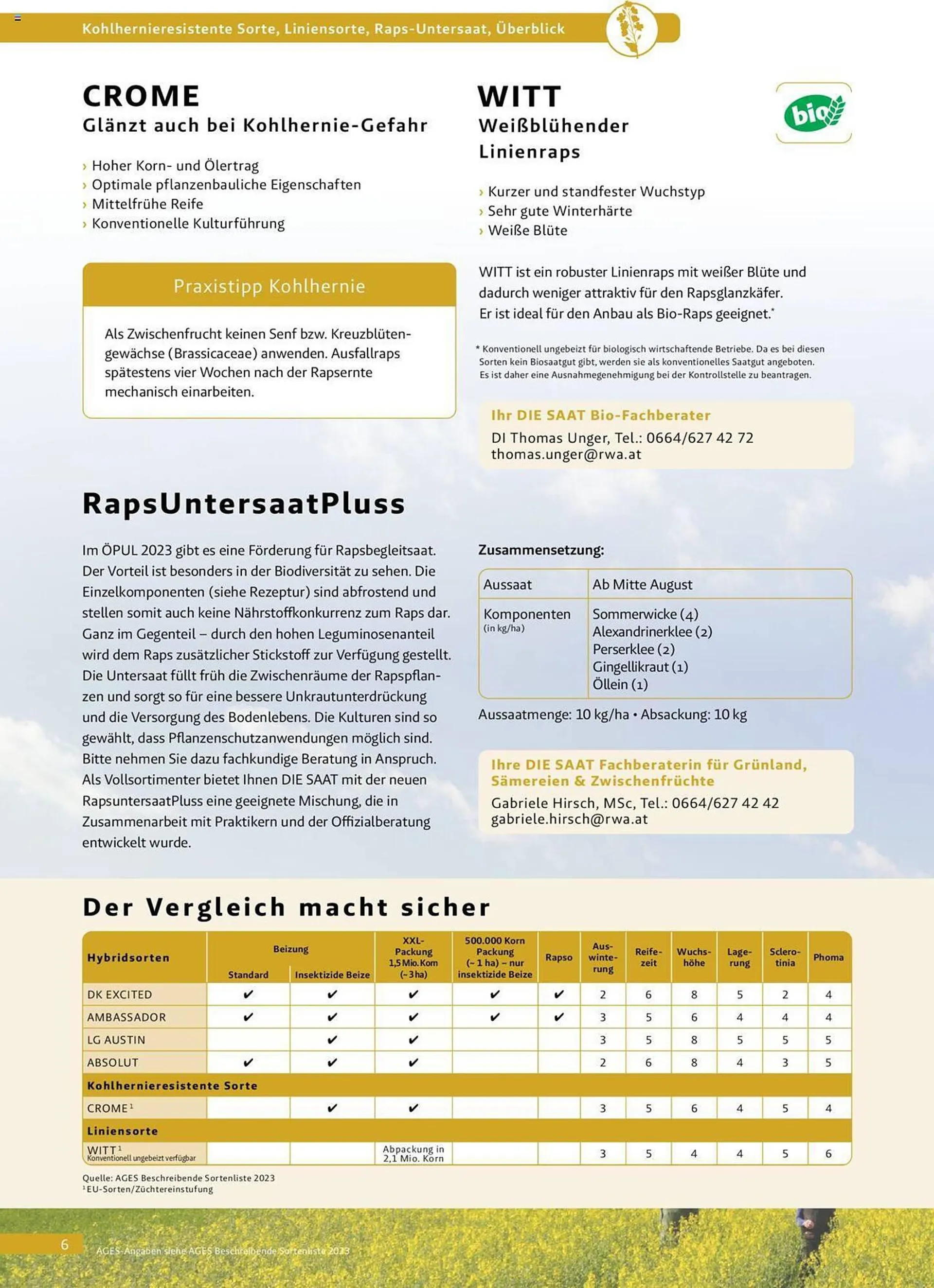 Lagerhaus Flugblatt von 5. Juni bis 25. August 2023 - Flugblätt seite  6