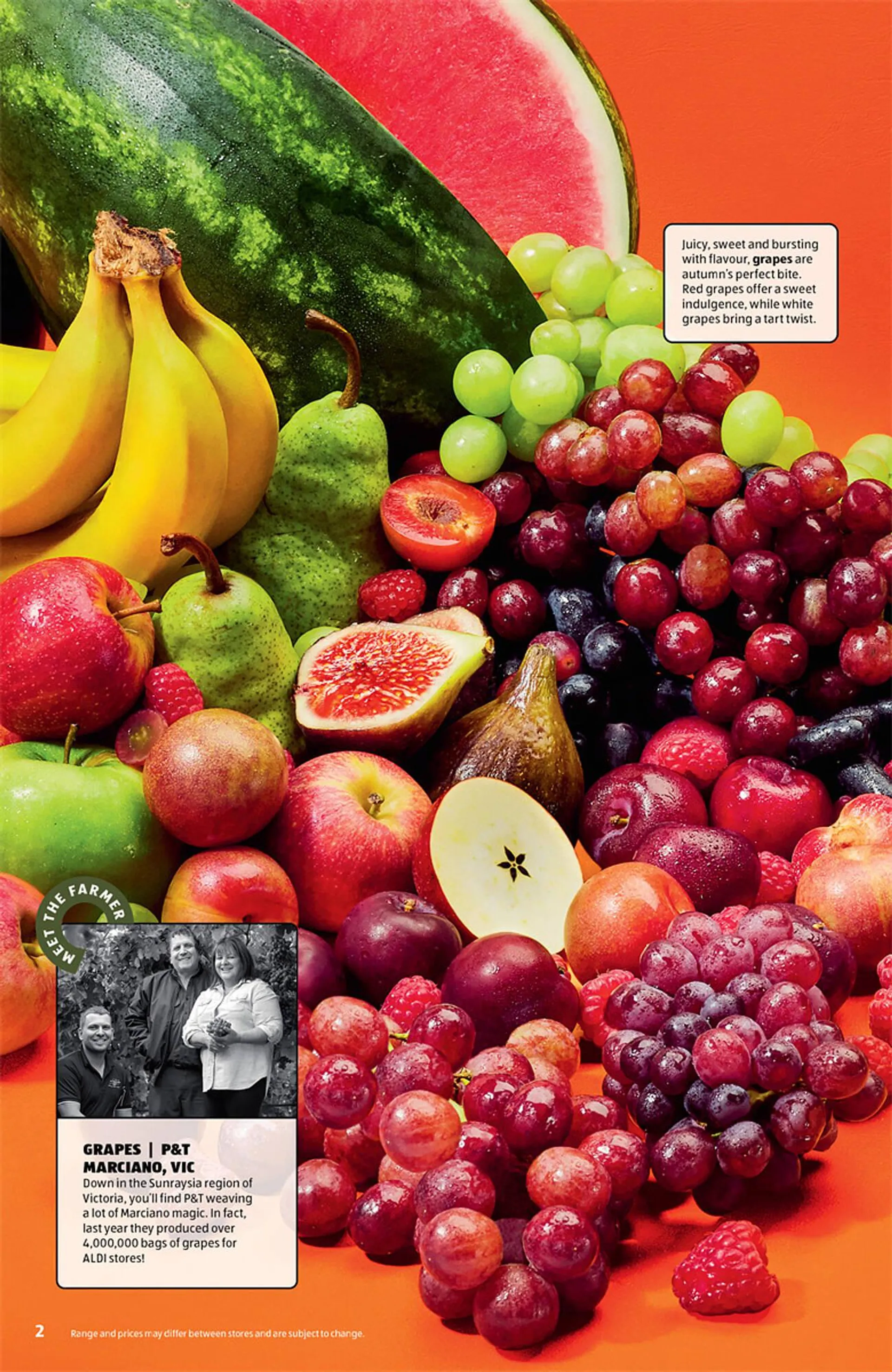 ALDI catalogue - Catalogue valid from 26 February to 4 June 2025 - page 2