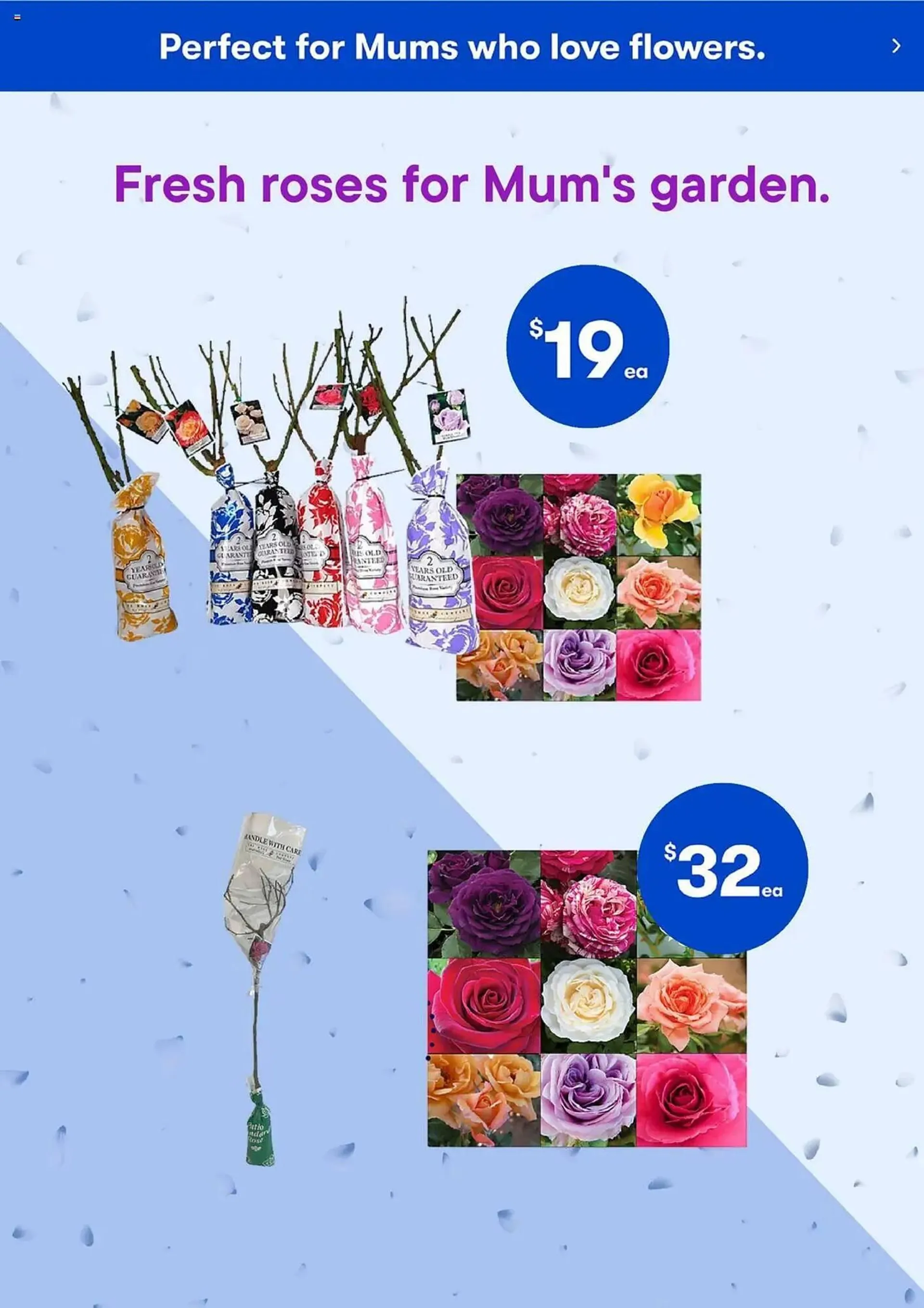 BIG W catalogue - Catalogue valid from 13 May to 19 May 2025 - page 5