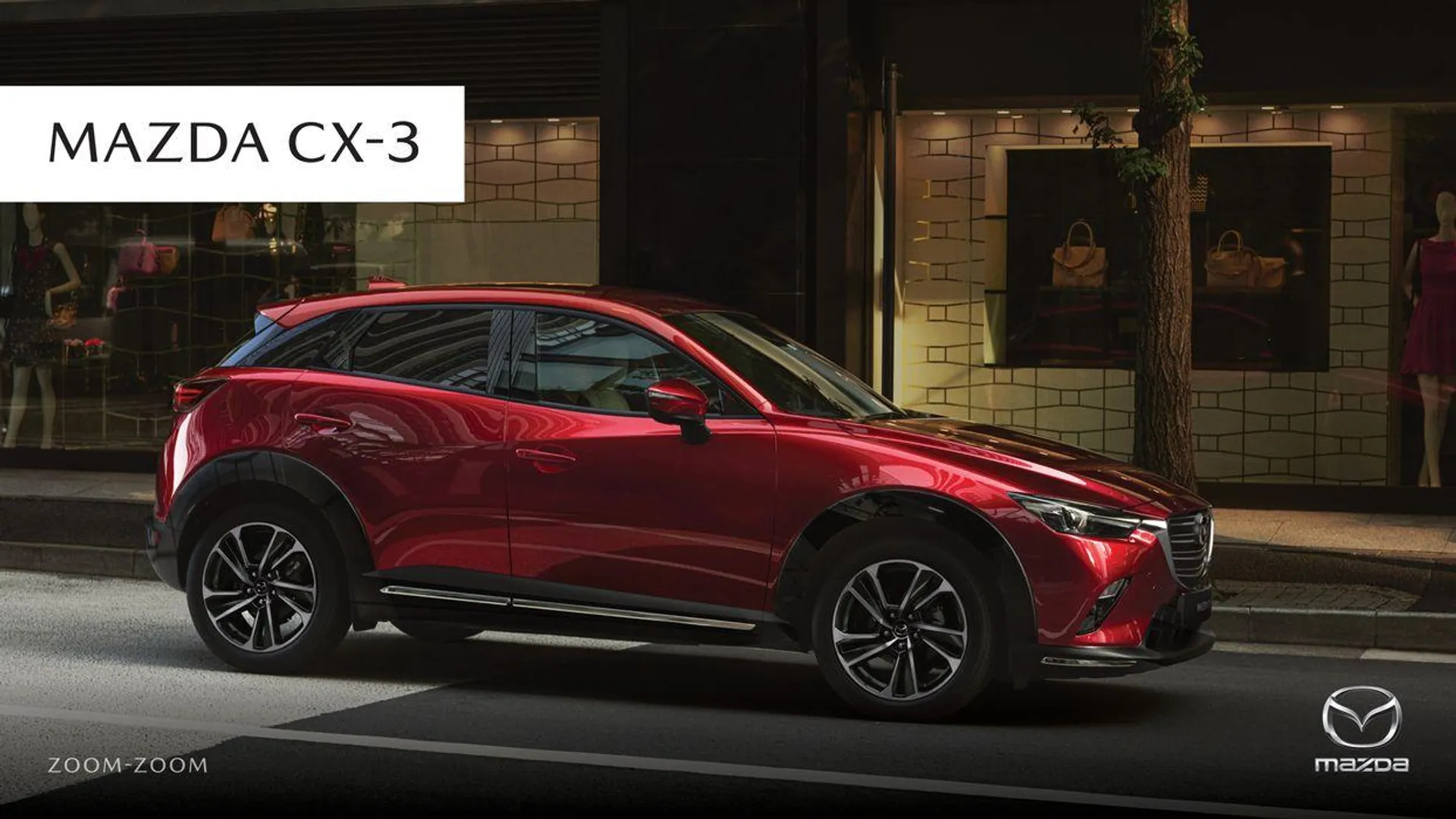 CX - 3 - 1