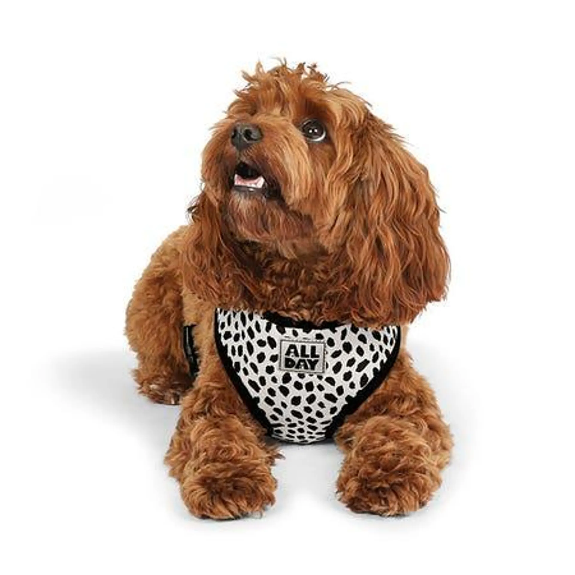 All Day Spot It Dog Harness Monochrome