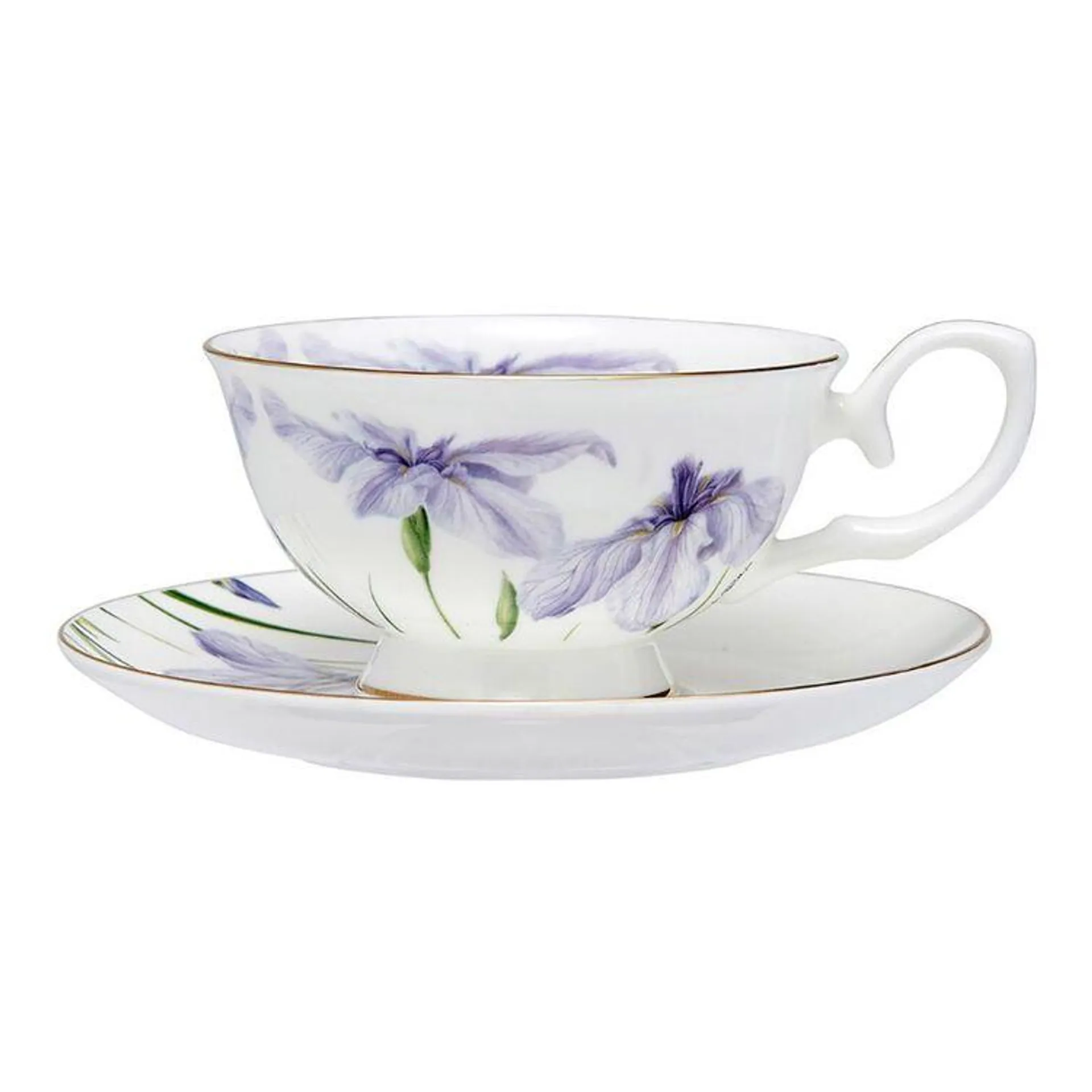 Ashdene Floral Symphony Iris Cup & Saucer Iris