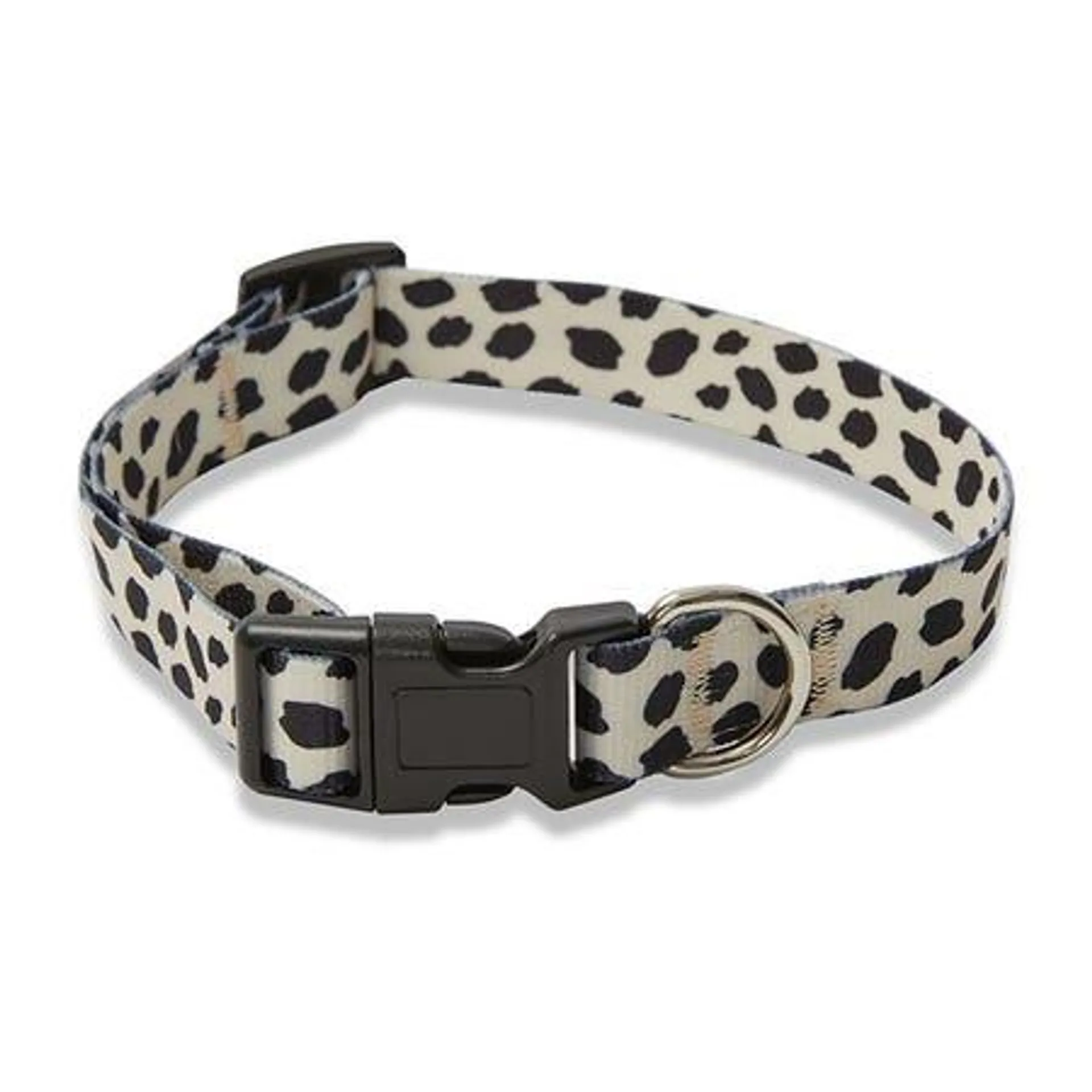 All Day Spot It Dog Collar Monochrome