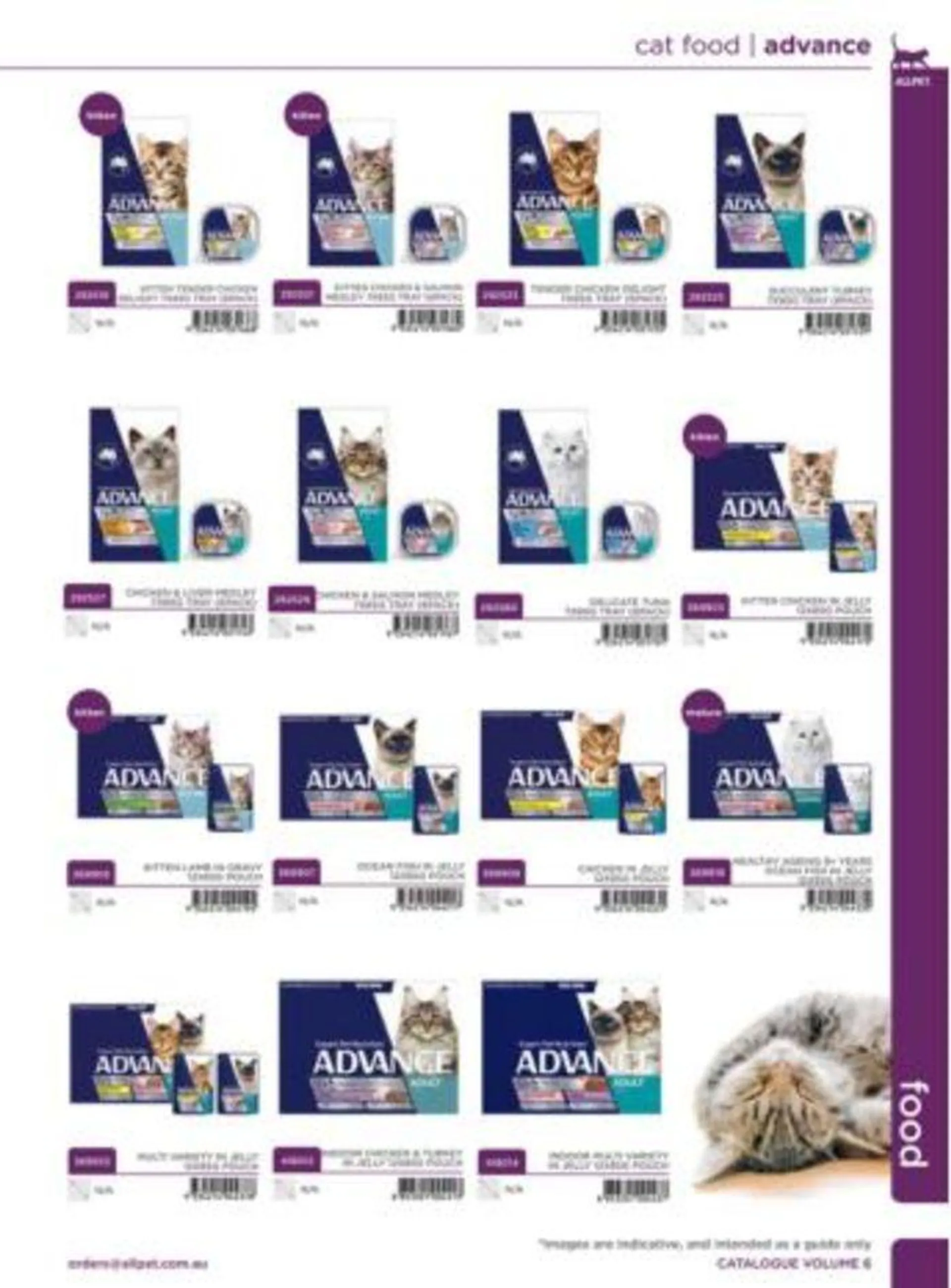 Cat Catalogue 2024 - Catalogue valid from 4 January to 31 December 2024 - page 45