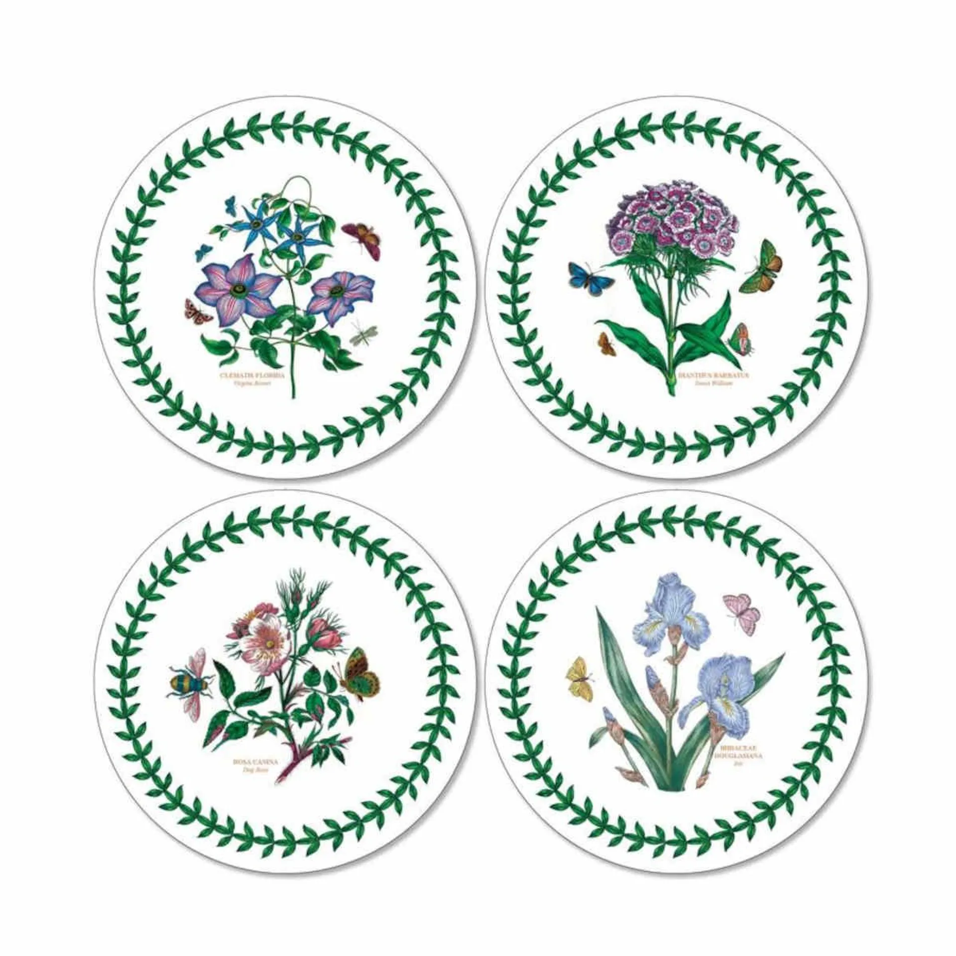 Pimpernel Botanic Garden Round Coaster Set of 4