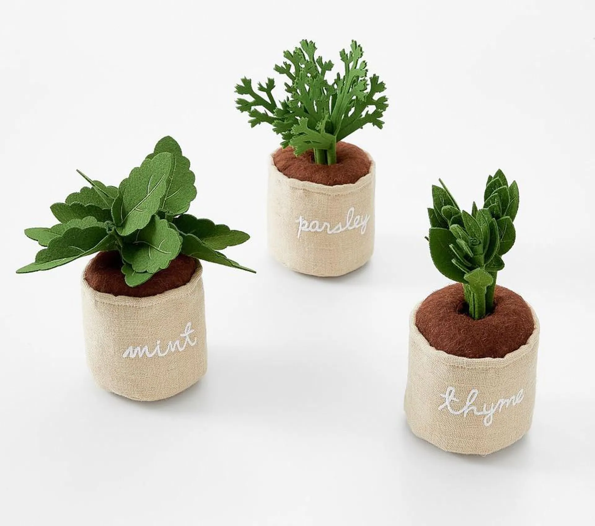 Potted Gardening Herbs