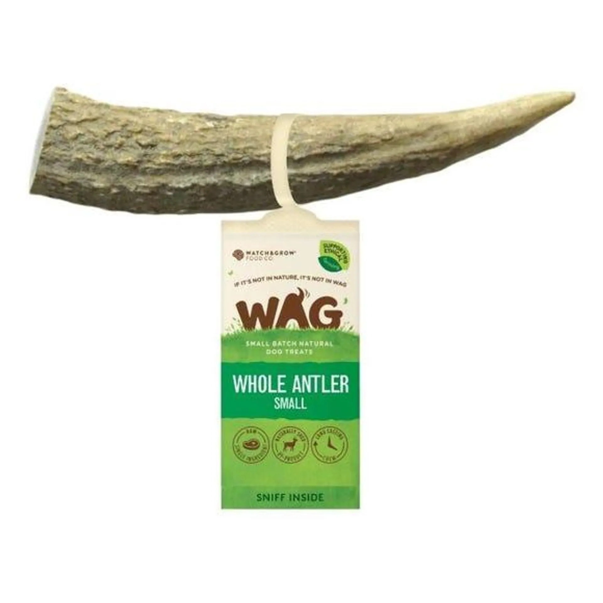 WAG Antler Full S 50g