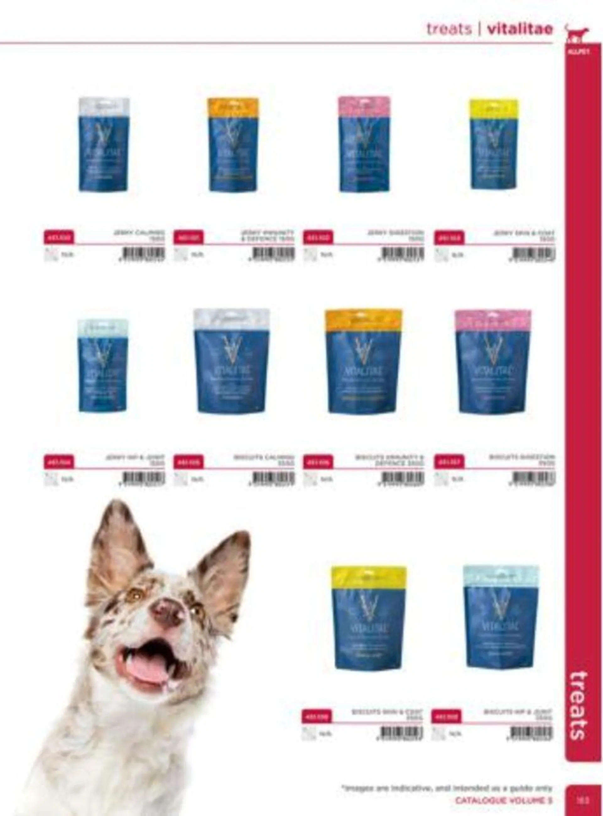 Dog Catalogue 2024 - Catalogue valid from 4 January to 31 December 2024 - page 163