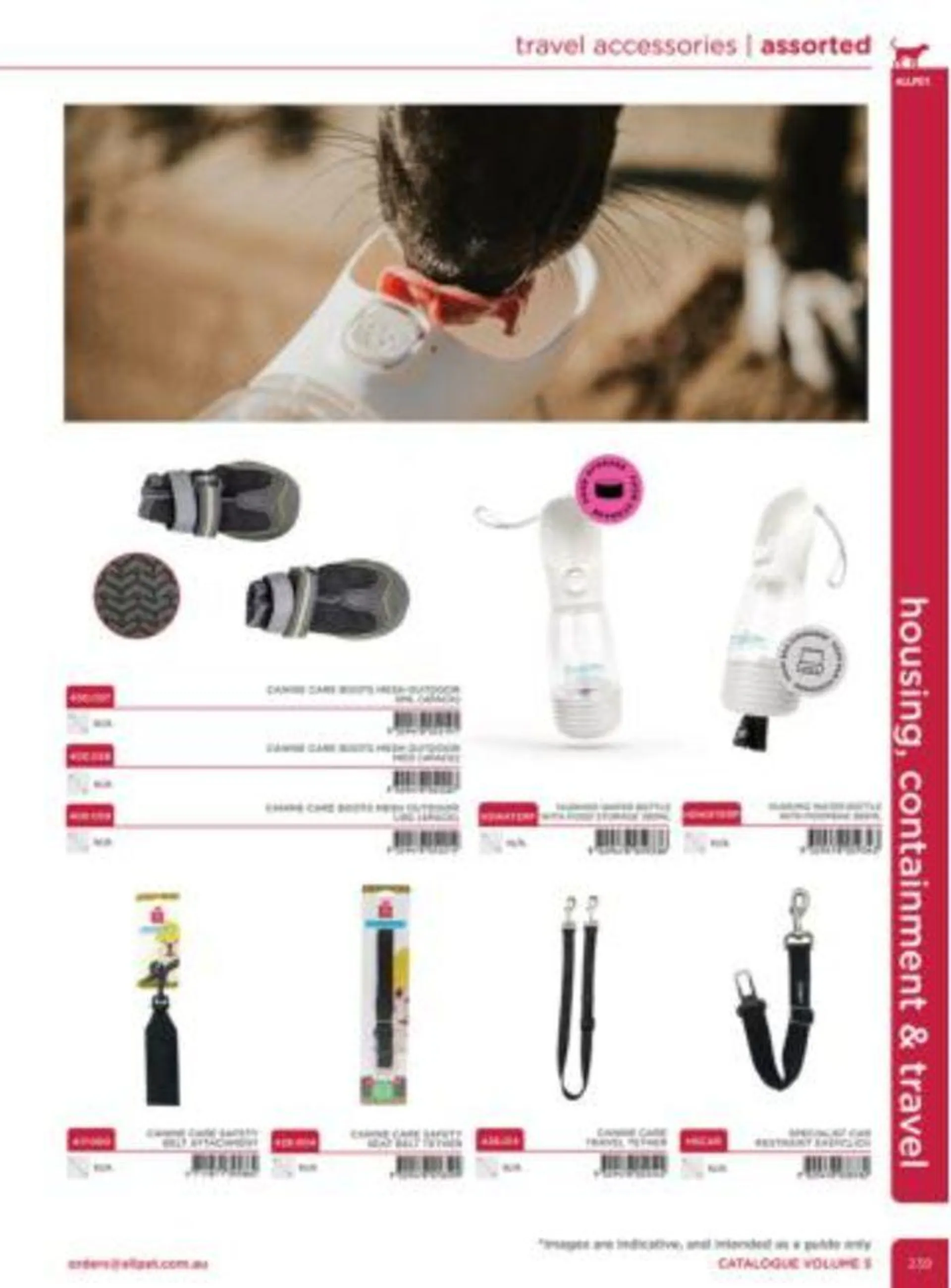 Dog Catalogue 2024 - Catalogue valid from 4 January to 31 December 2024 - page 237