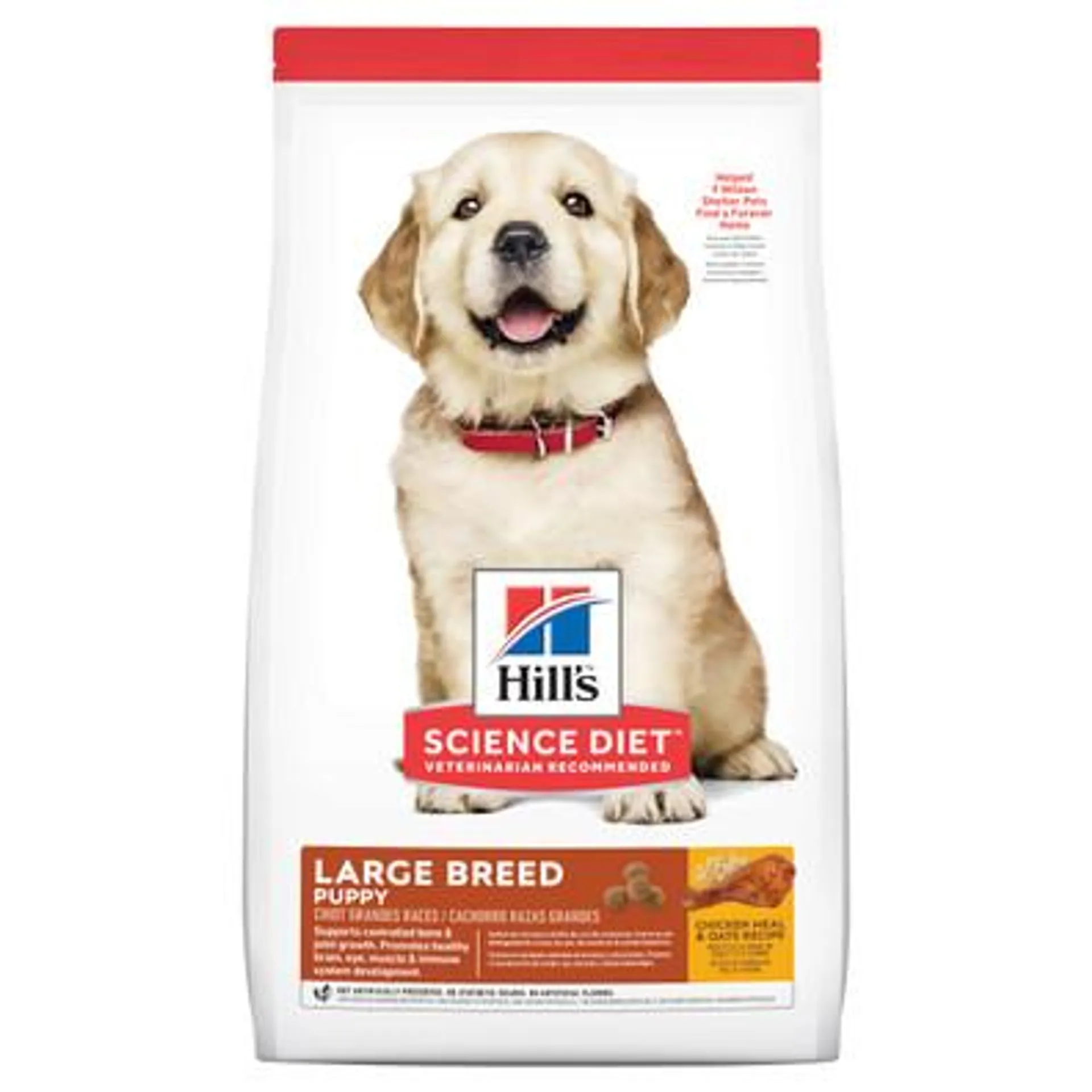 Hill's Science Diet Puppy Large Breed Dry Dog Food