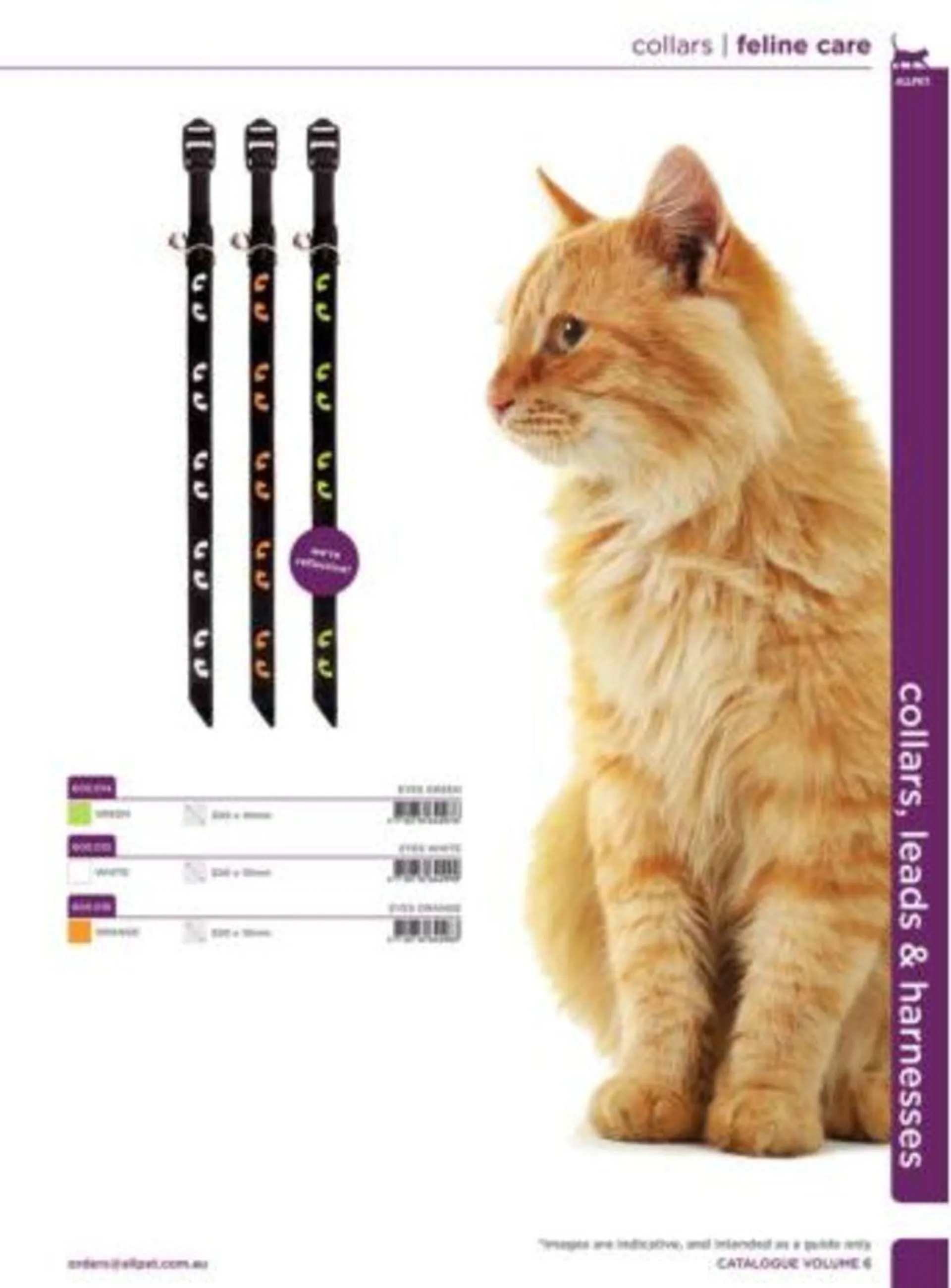 Cat Catalogue 2024 - Catalogue valid from 4 January to 31 December 2024 - page 13