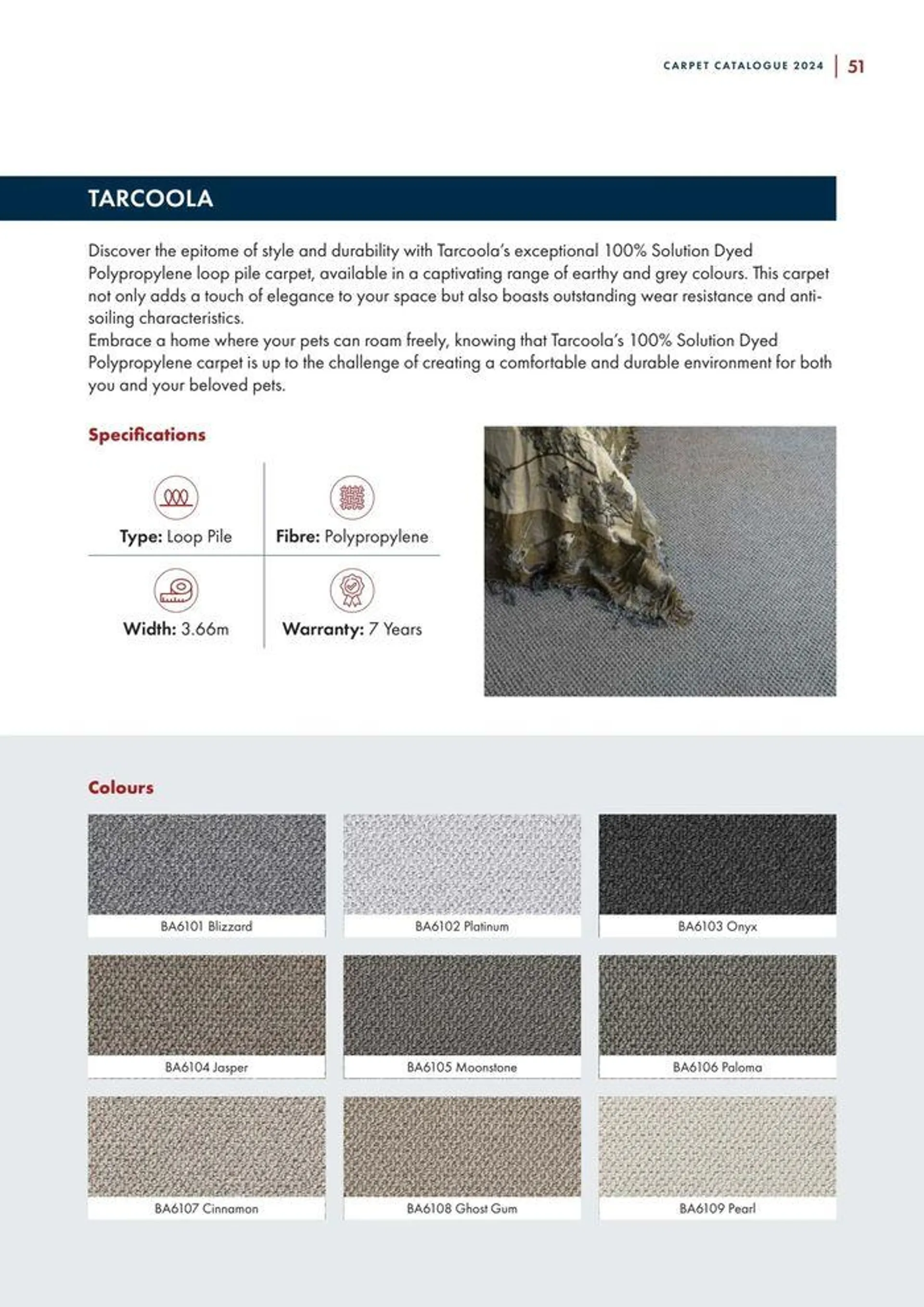 Carpet Catalogue - Catalogue valid from 24 September to 31 December 2024 - page 51