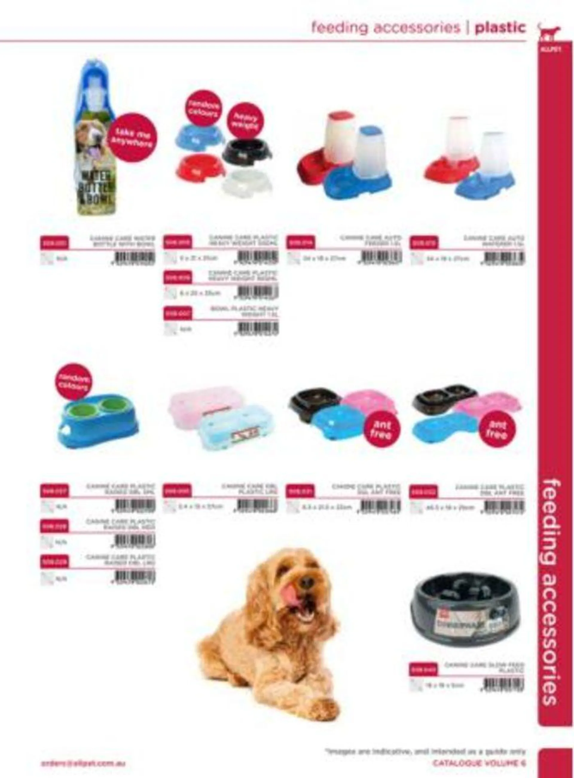 Dog Catalogue 2024 - Catalogue valid from 4 January to 31 December 2024 - page 213