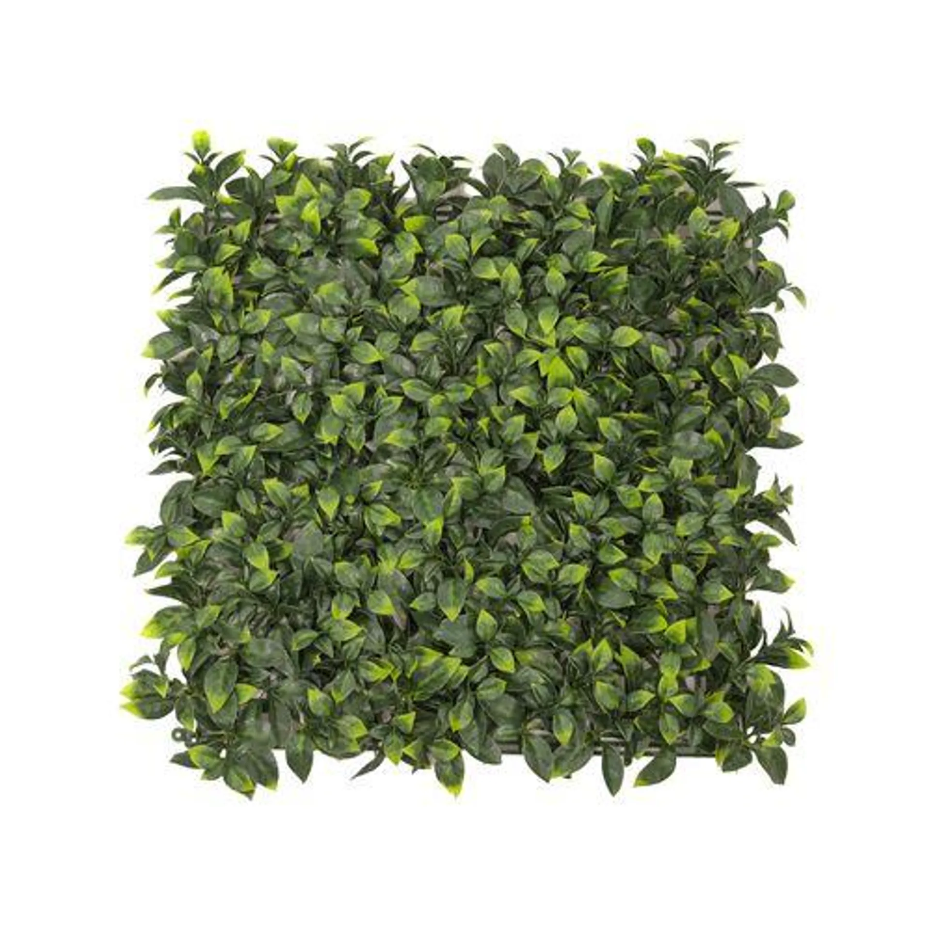 UN-REAL 50 x 50cm Pittosporum Artificial Hedge