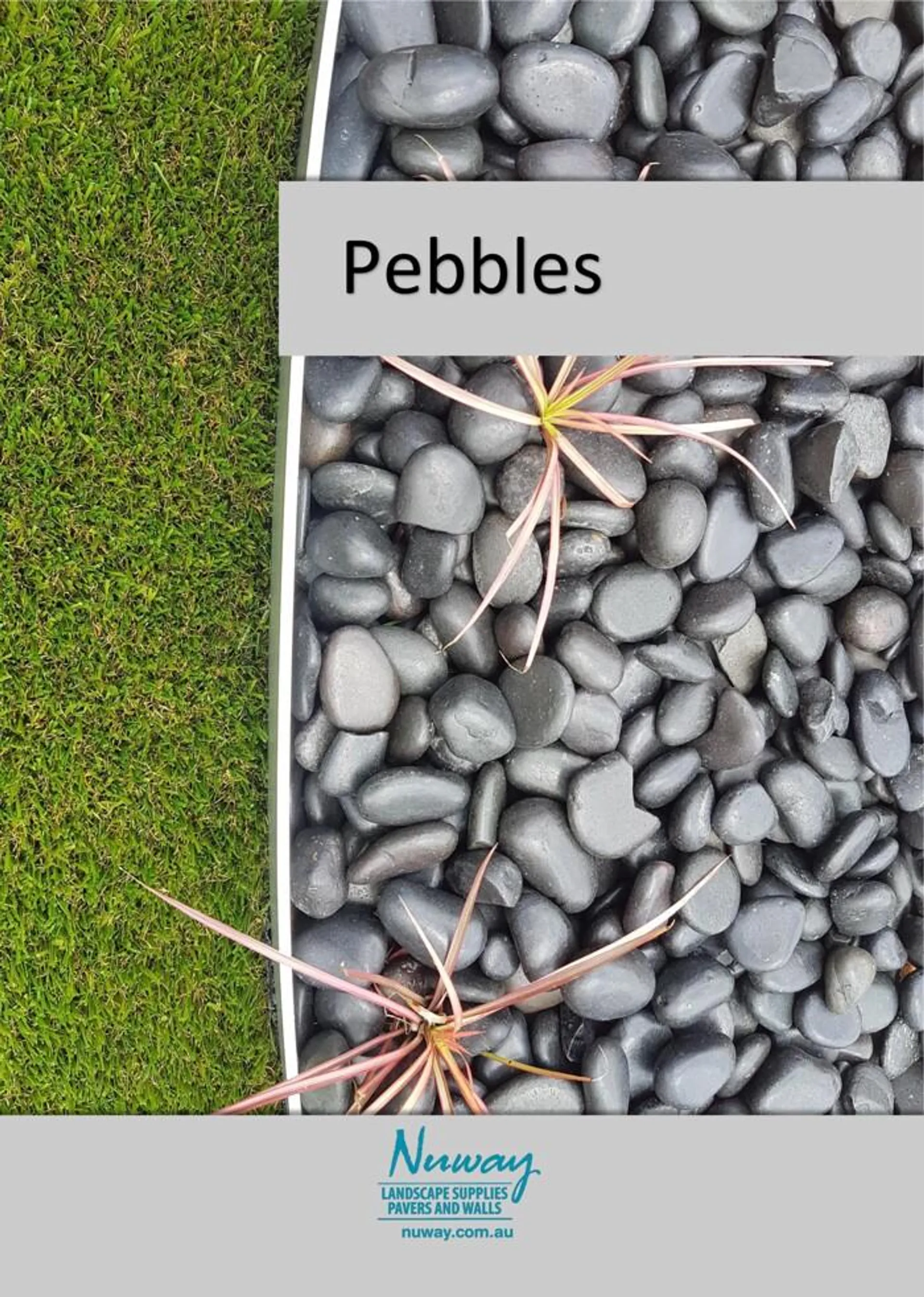 Pebbles Brochure - 1