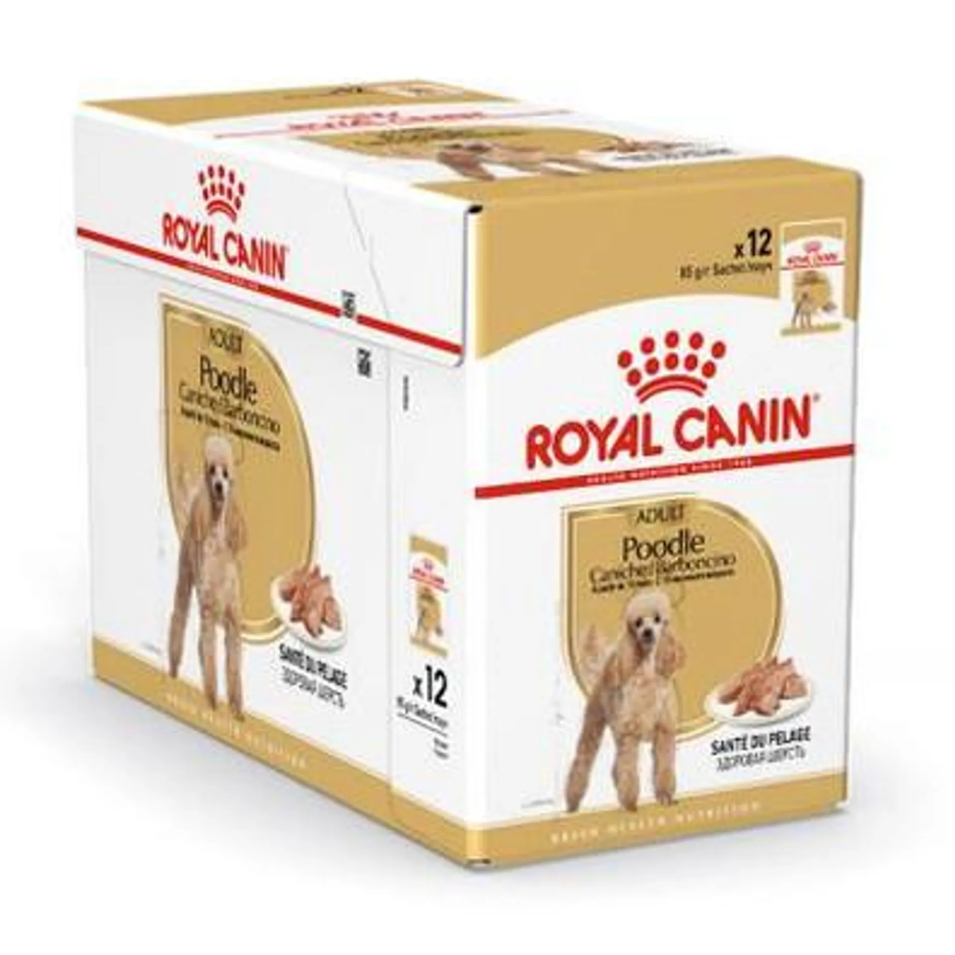 Royal Canin Poodle Adult Wet Dog Food Pouches