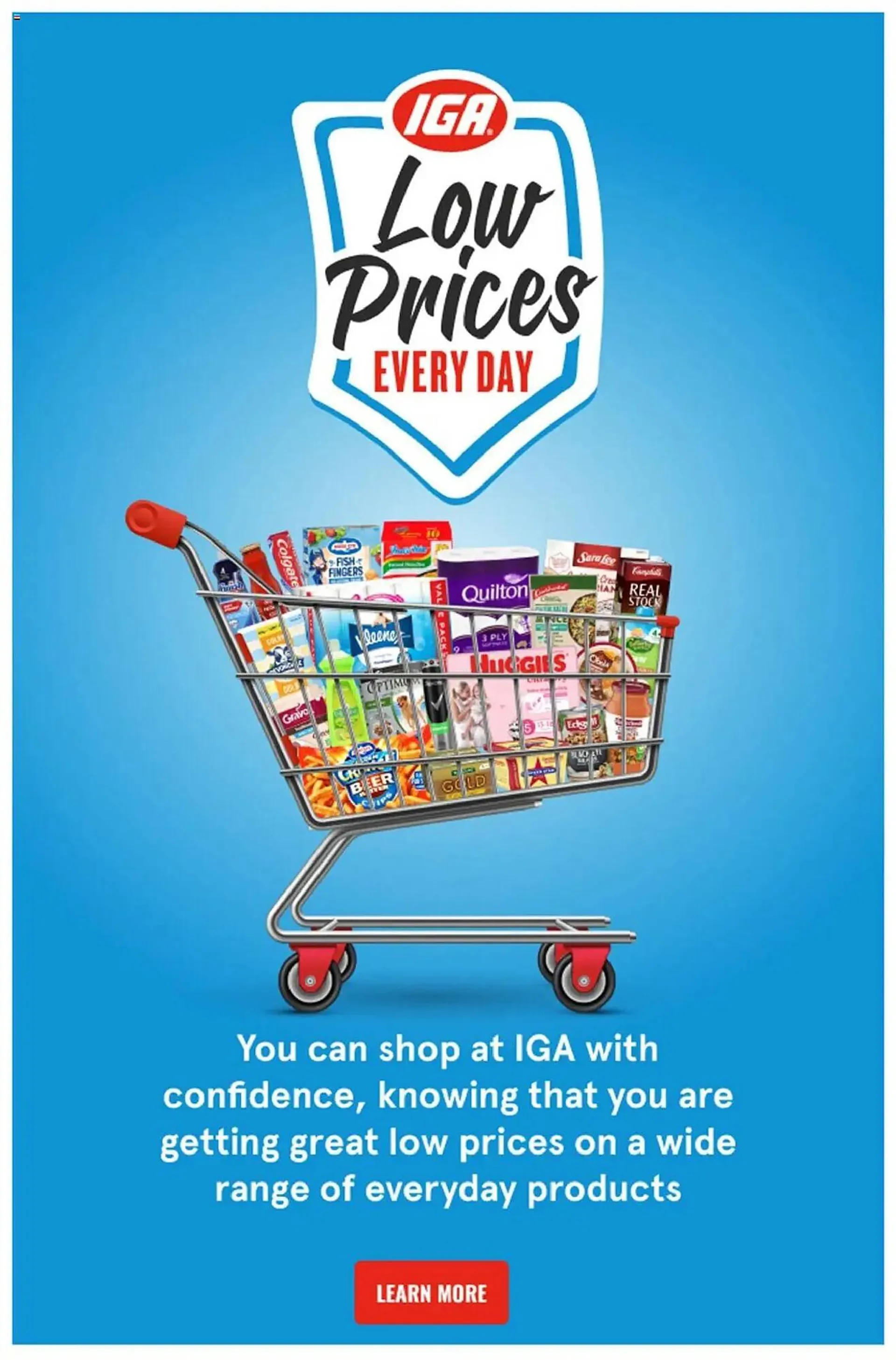 IGA catalogue - Catalogue valid from 2 July to 8 July 2025 - page 29