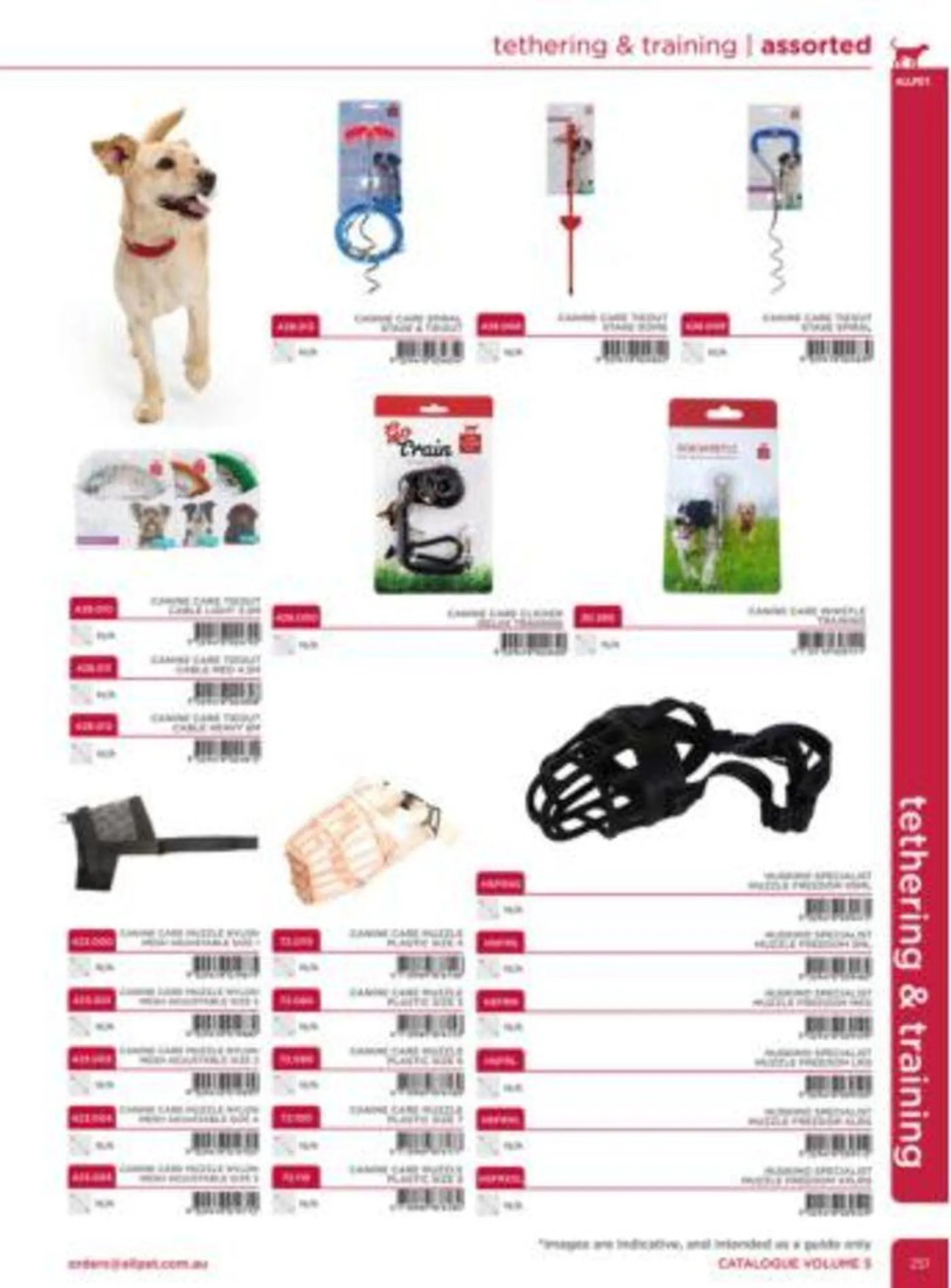 Dog Catalogue 2024 - Catalogue valid from 4 January to 31 December 2024 - page 249