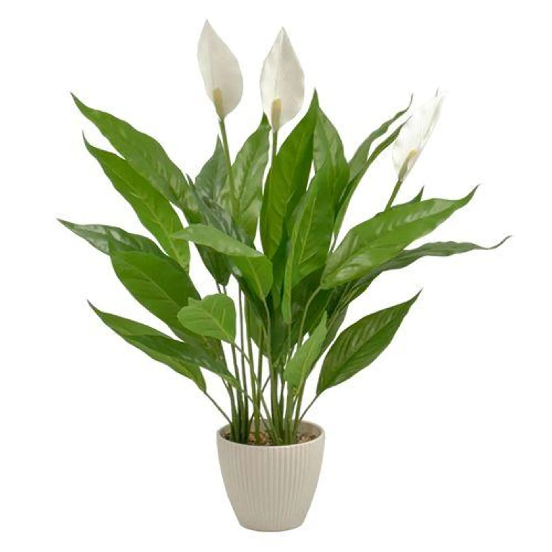 UN-REAL 60cm Flowering Peace Lily Artificial Plant