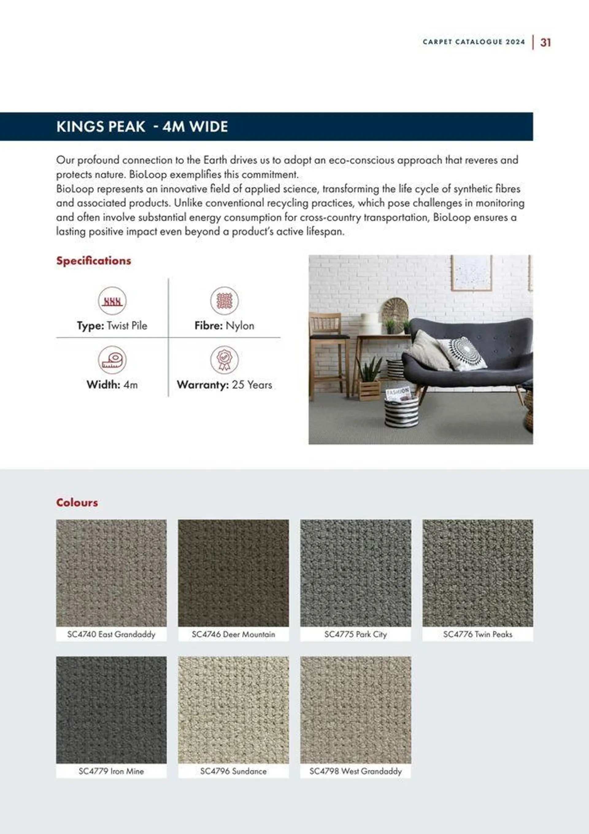 Carpet Catalogue - Catalogue valid from 24 September to 31 December 2024 - page 31