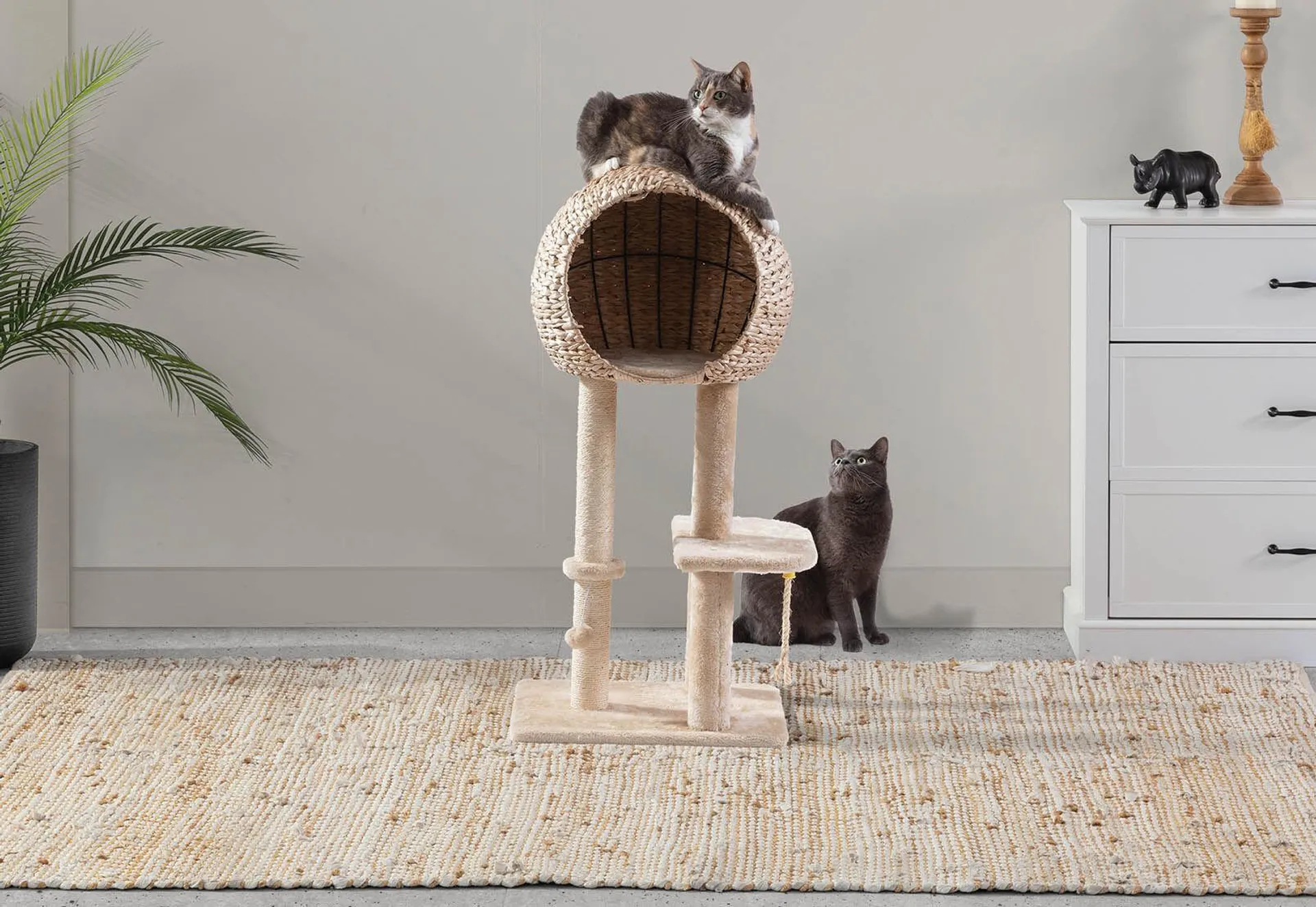 Wicker Pet Scratch Pole