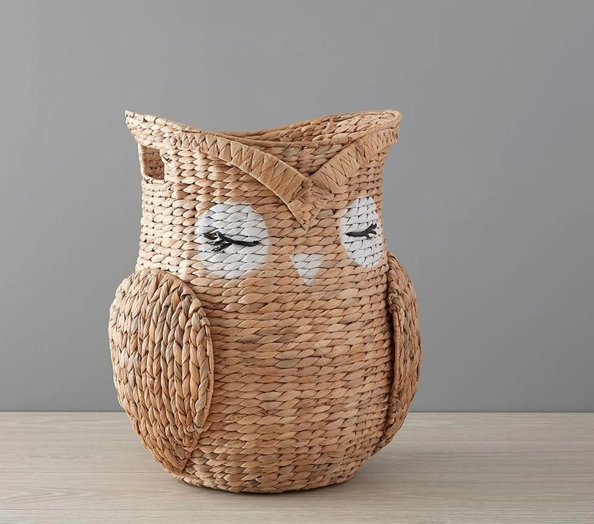 Shaped Owl Storage