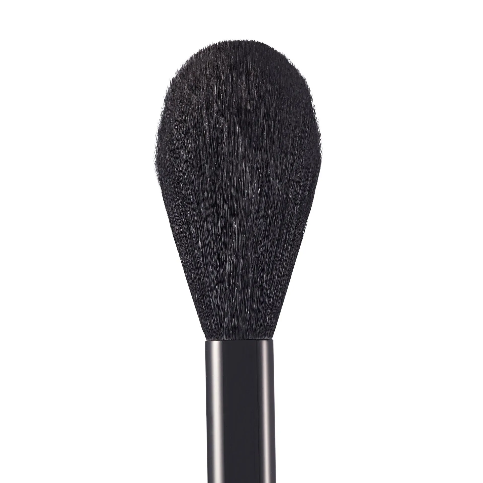 POWDER BRUSH PD1