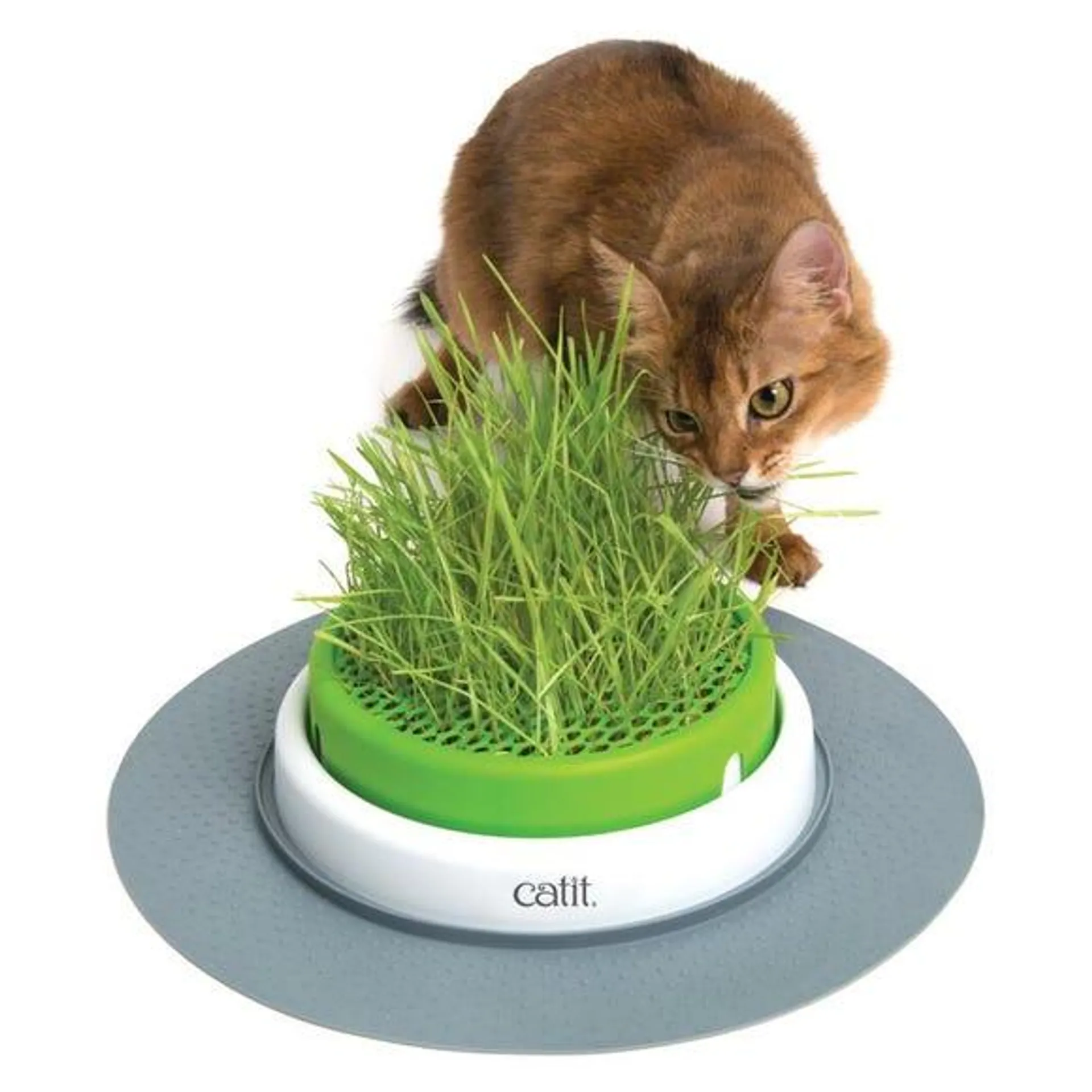 Catit Senses 2.0 Grass Planter