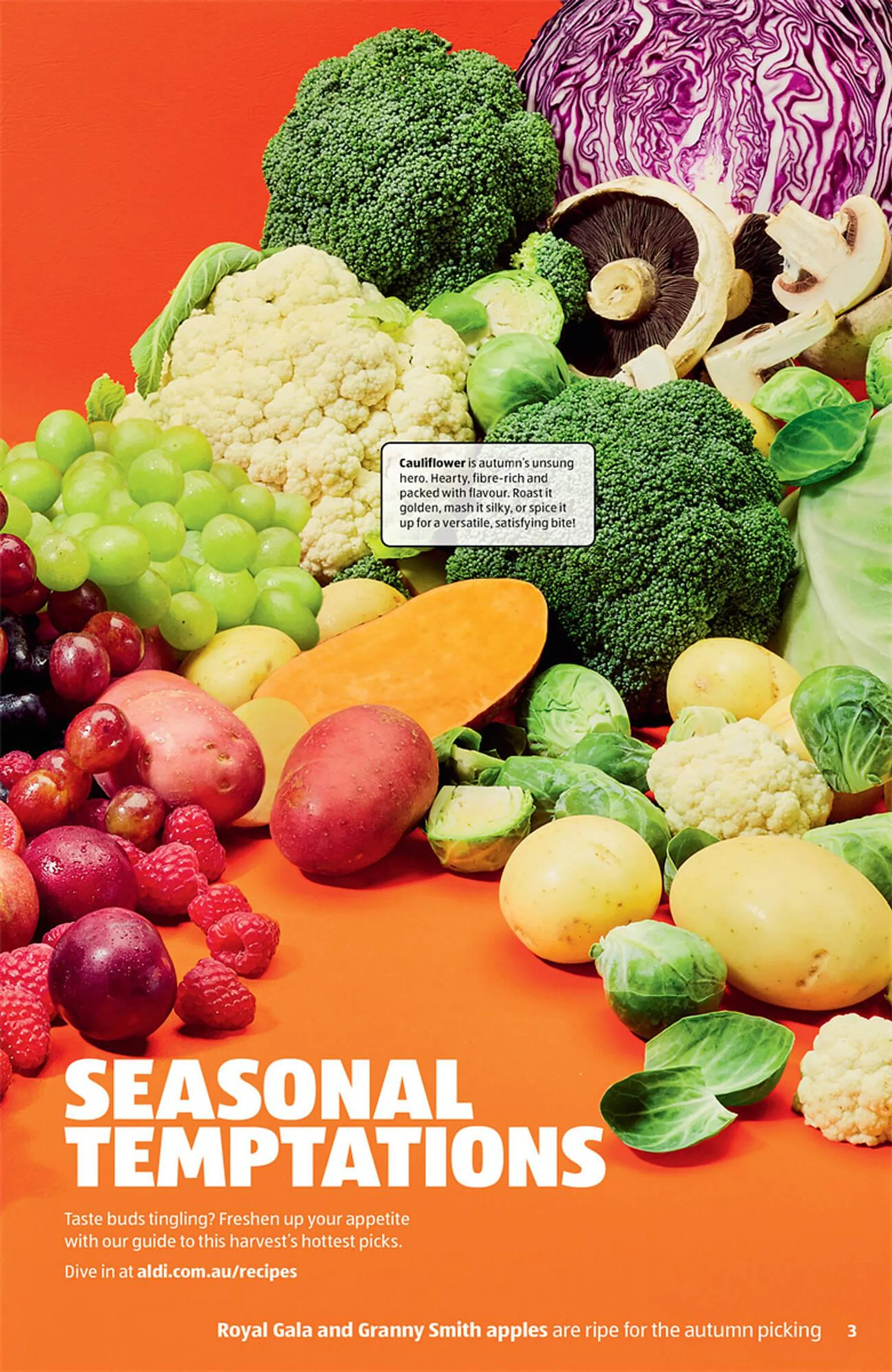 ALDI catalogue - Catalogue valid from 26 February to 4 June 2025 - page 3