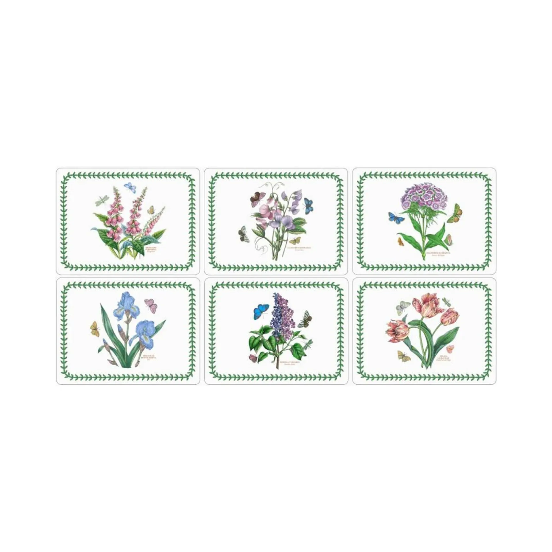 Pimpernel Botanic Garden Placemats Set of 6