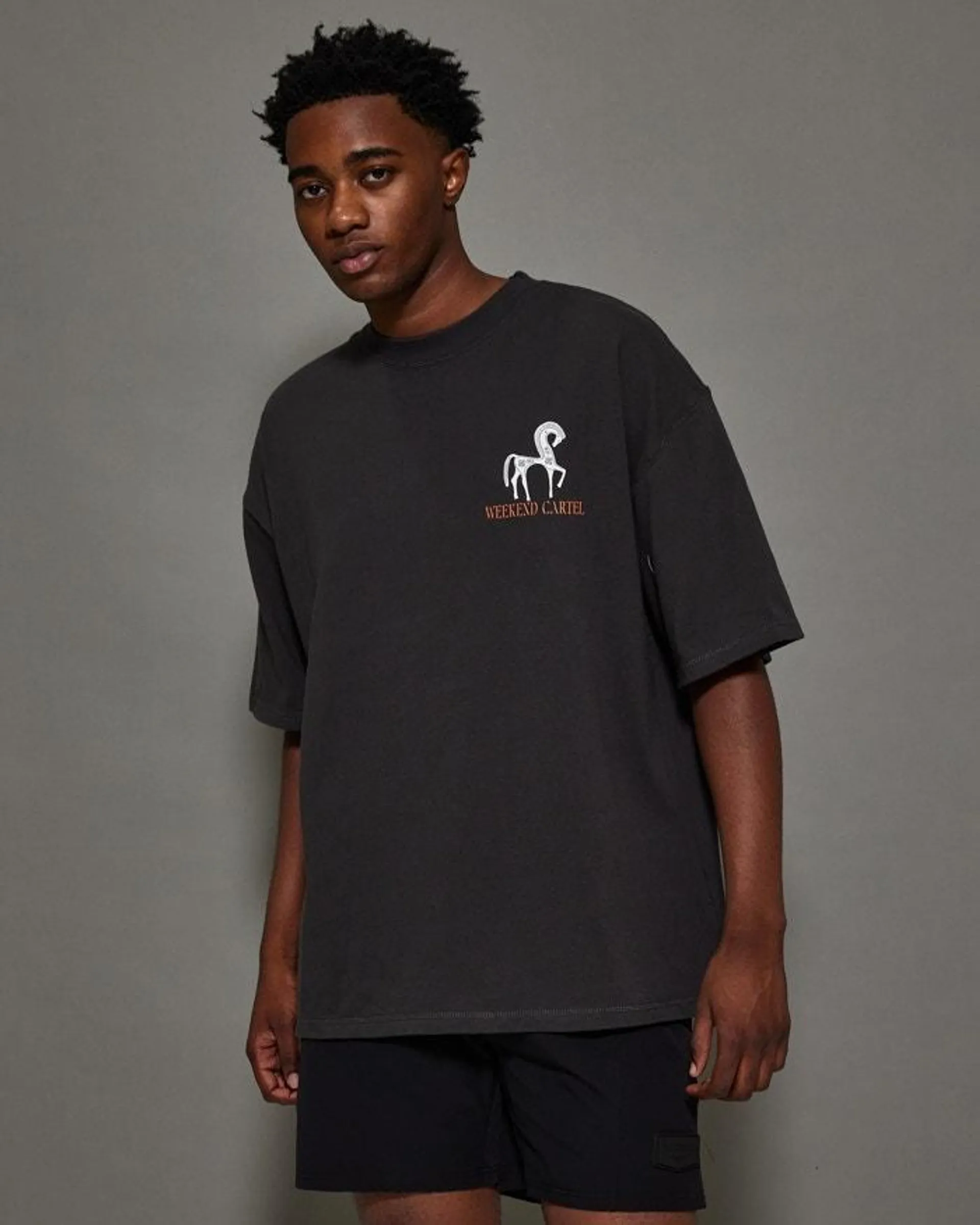 Ancient Horse Tee